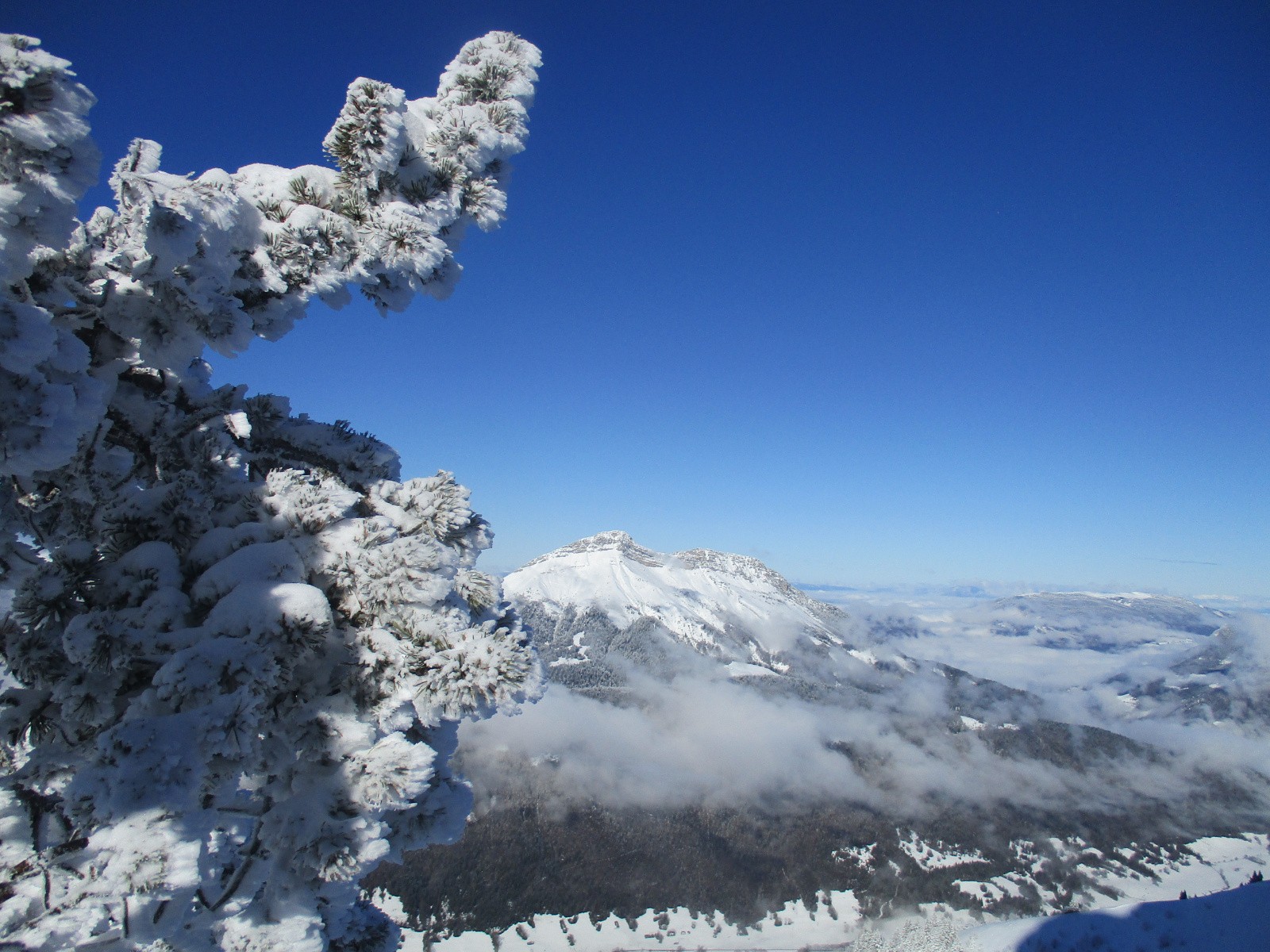 #6 mont Colombier mont Colombier