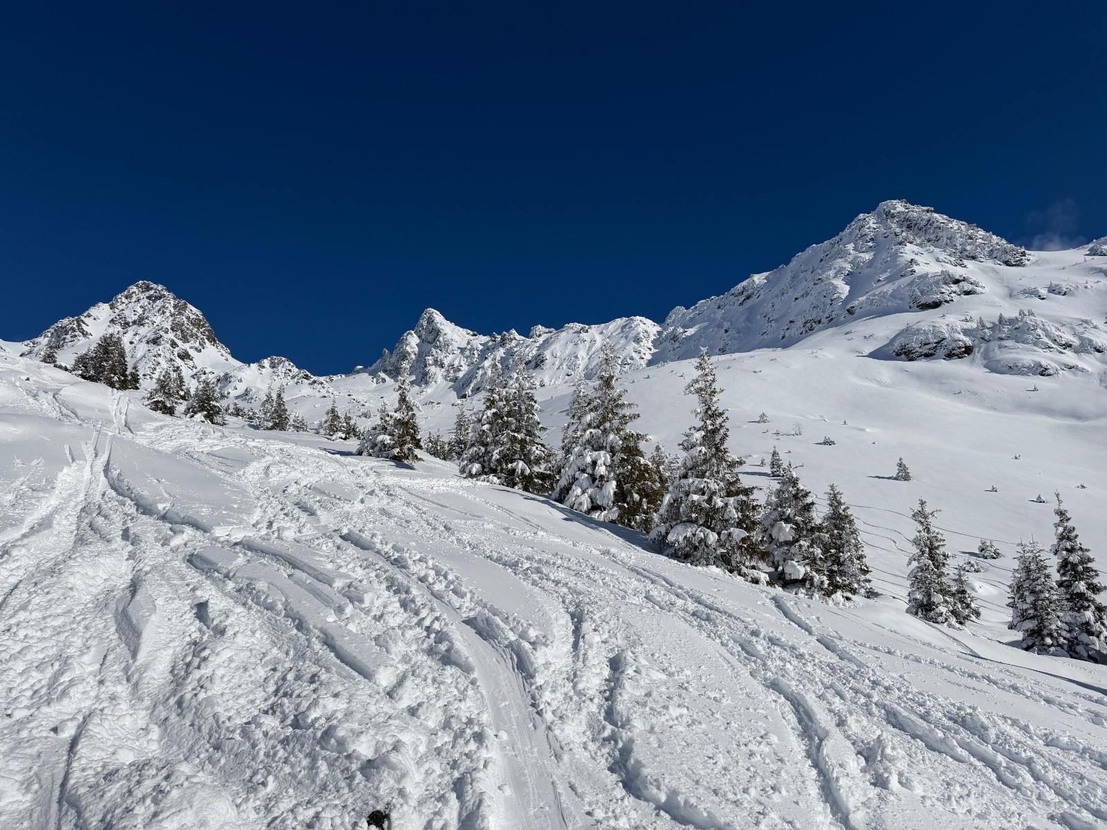 Arrivée dans le Venetier, déjà bien tracé.&nbsp;