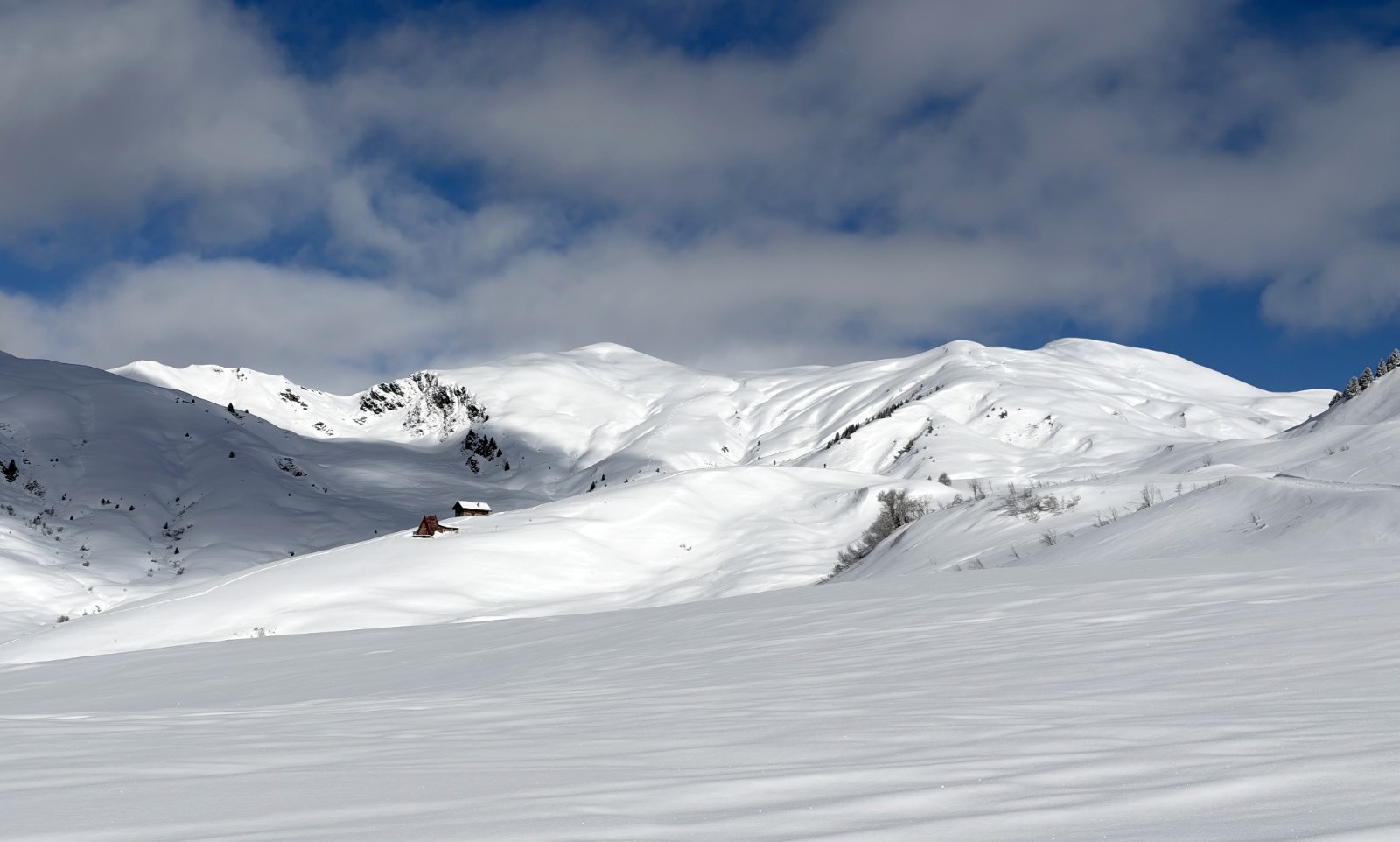 &nbsp;Beauregard&nbsp;