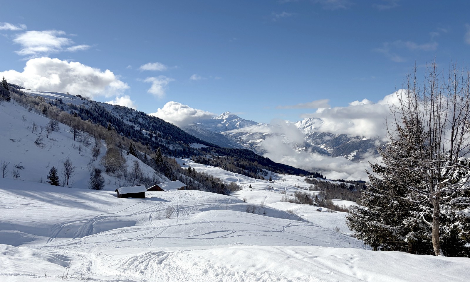 &nbsp; Bonpertui&nbsp;