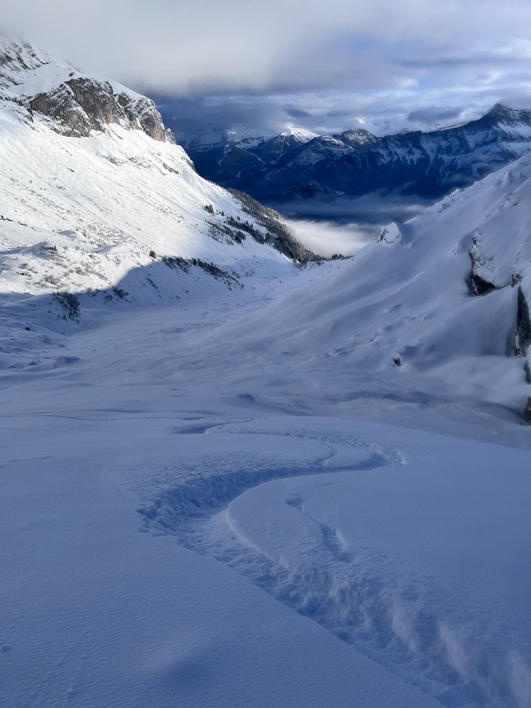 #5 encore du powpow.. 50cm? encore du powpow.. 50cm?