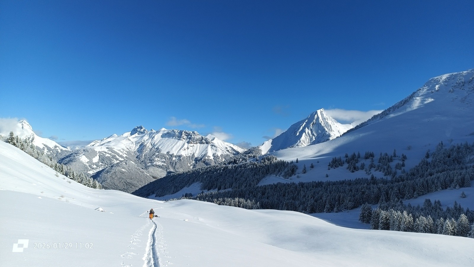 Nos poursuivants arrivent 