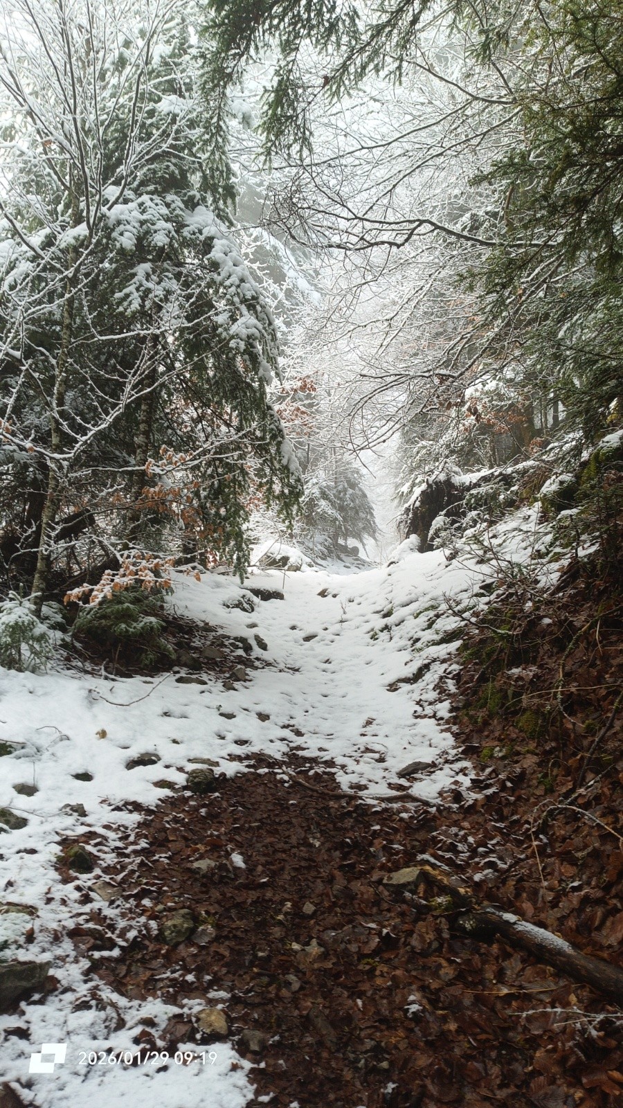 Bon le GR est un tantinet sec !&nbsp; 
