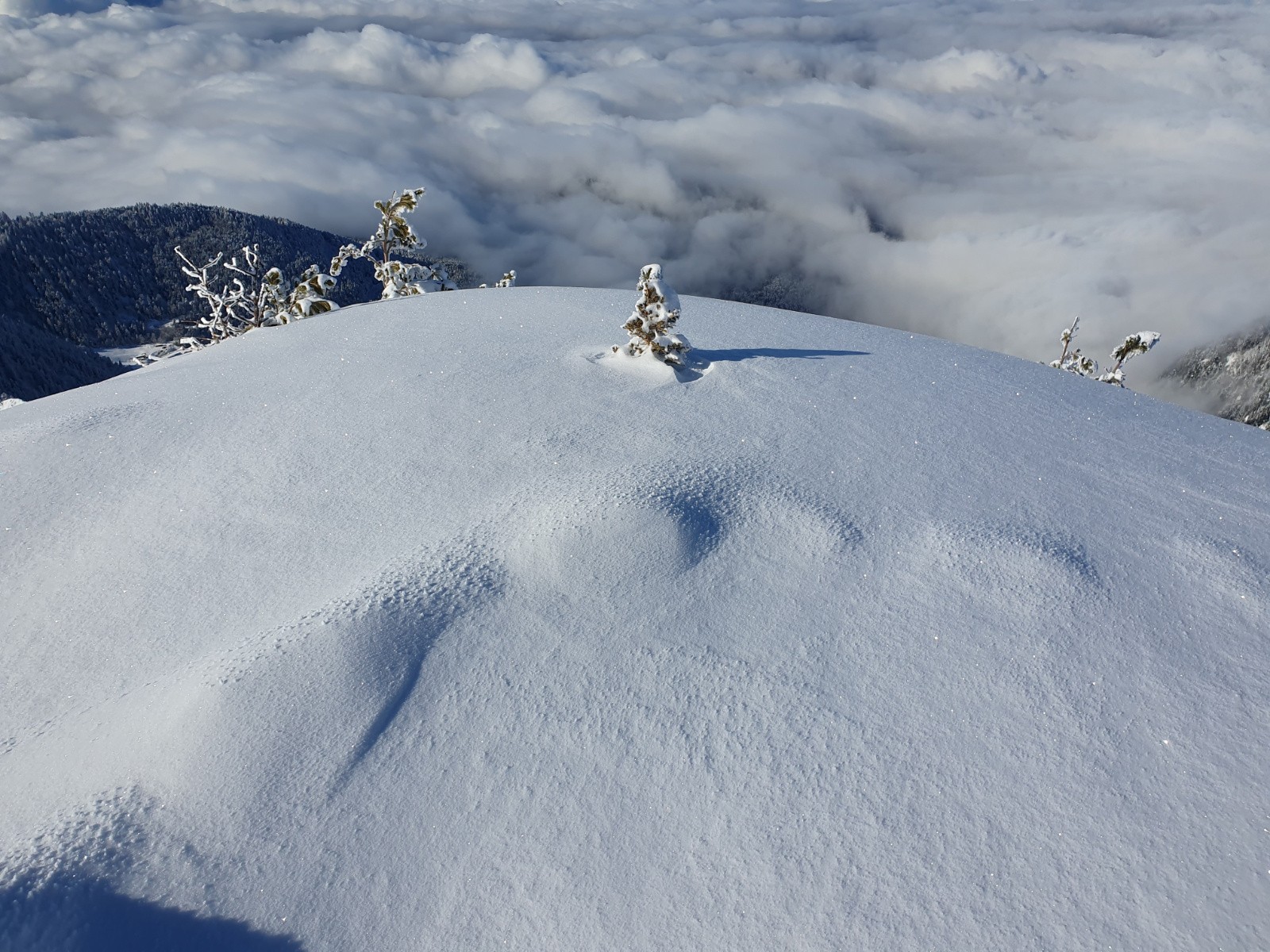 Petit sommet deviendra grand