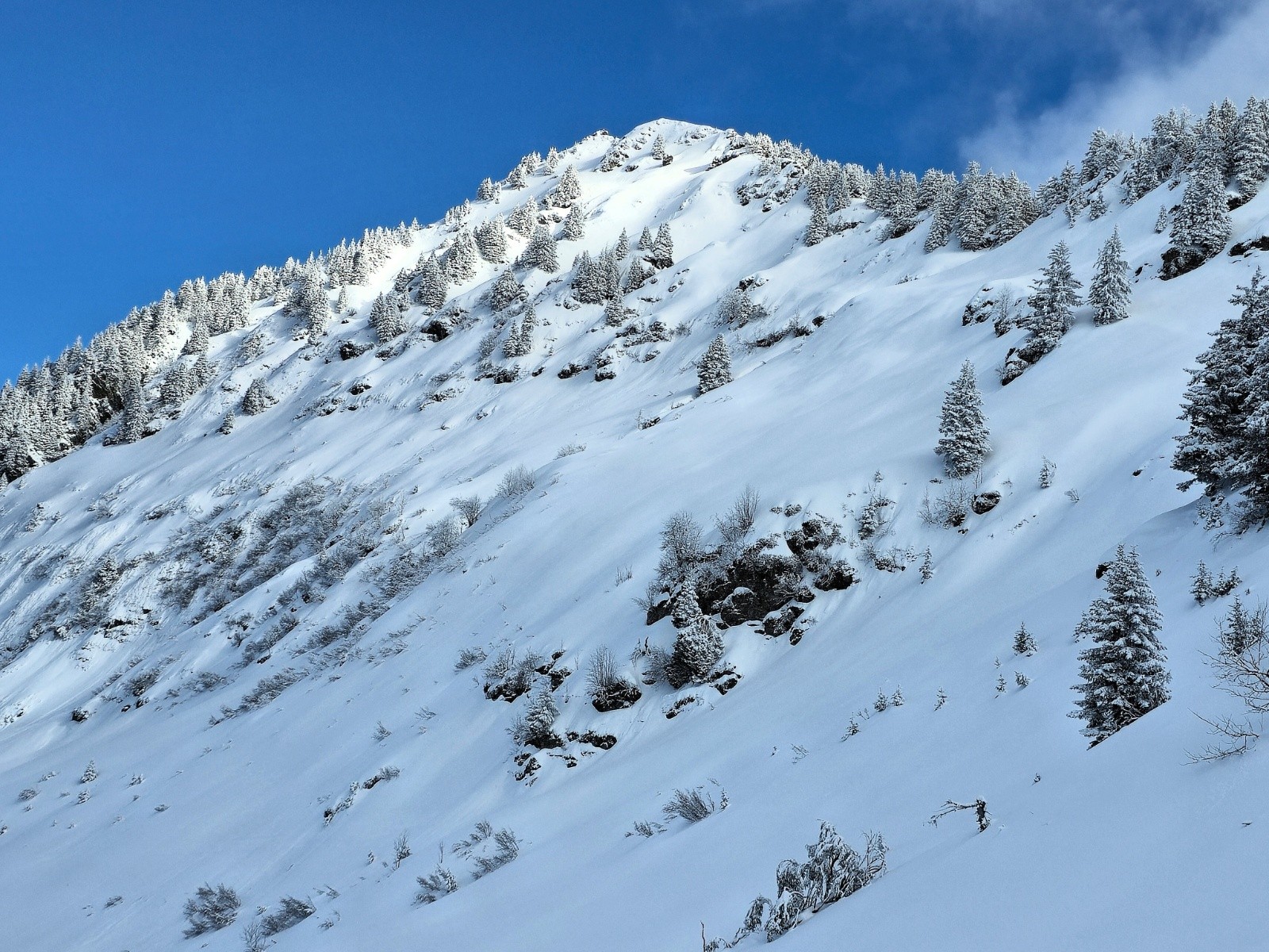 La Roche Pourrie versant ouest.&nbsp;