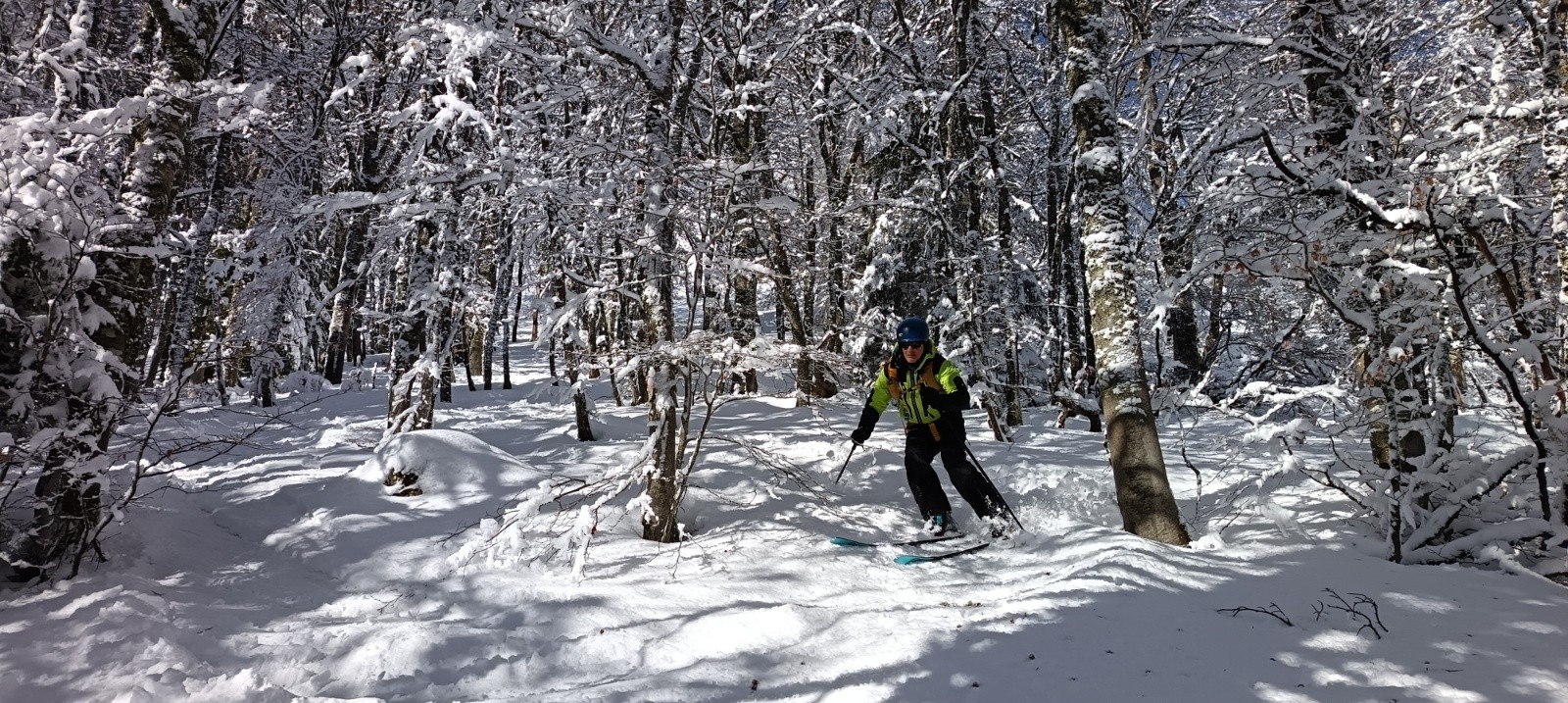 Descente sud sous la Pinéa la forêt est bien serrée !&nbsp;