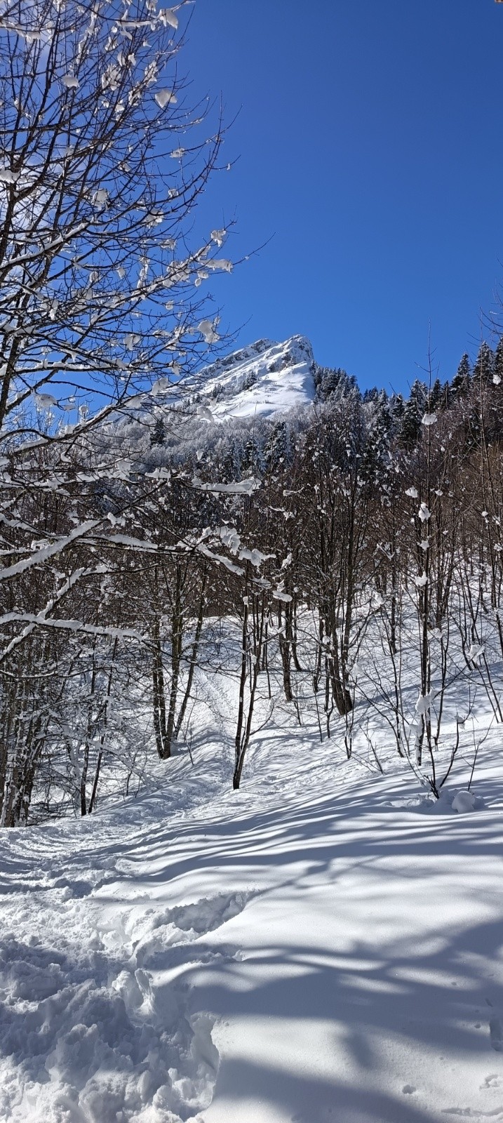 La Pinéa en remontant&nbsp;