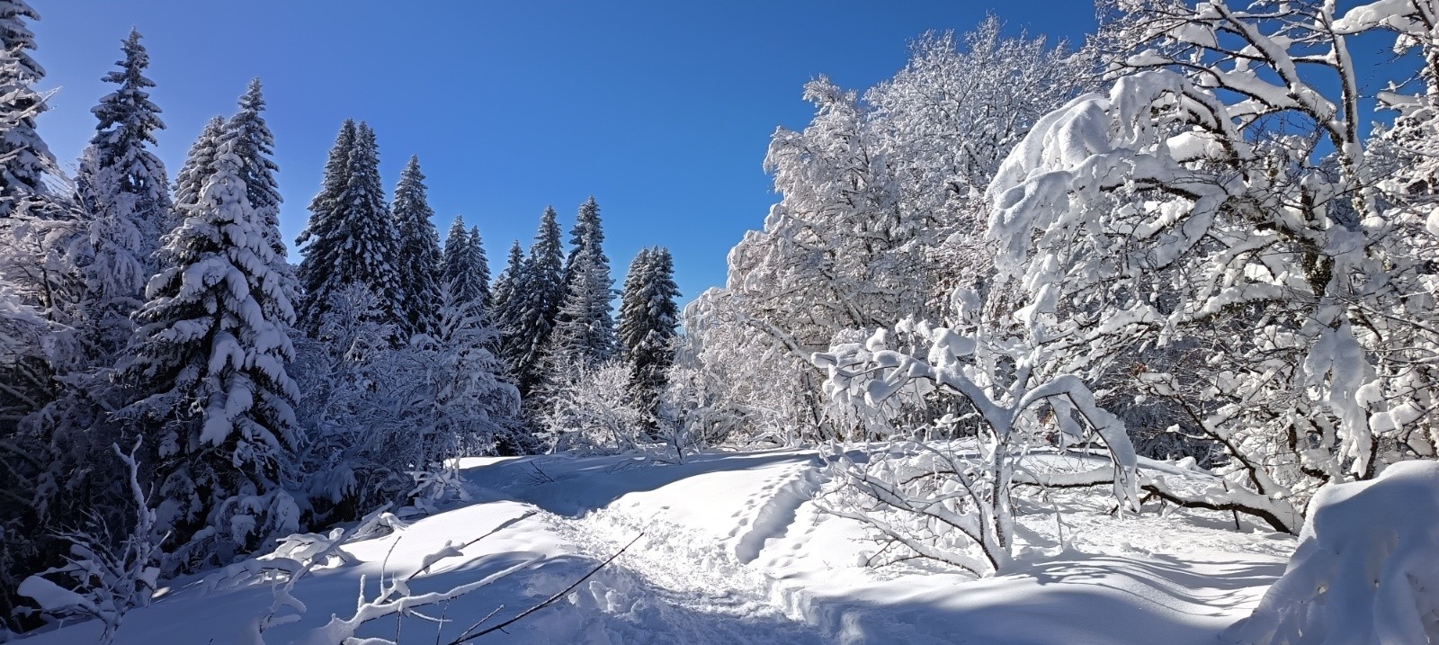 Crête du Mt Fromage&nbsp;