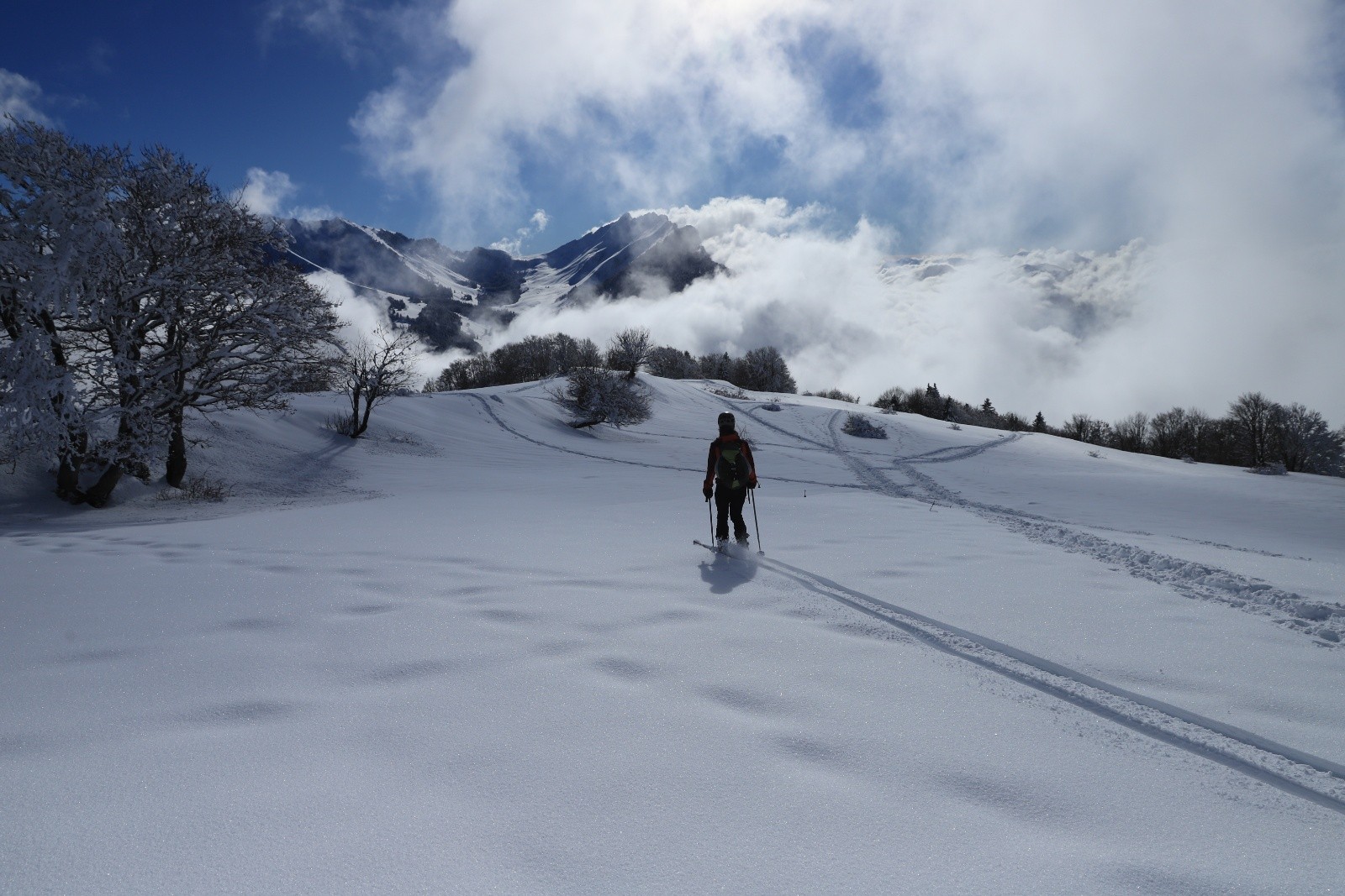 Descente toute poudre&nbsp;