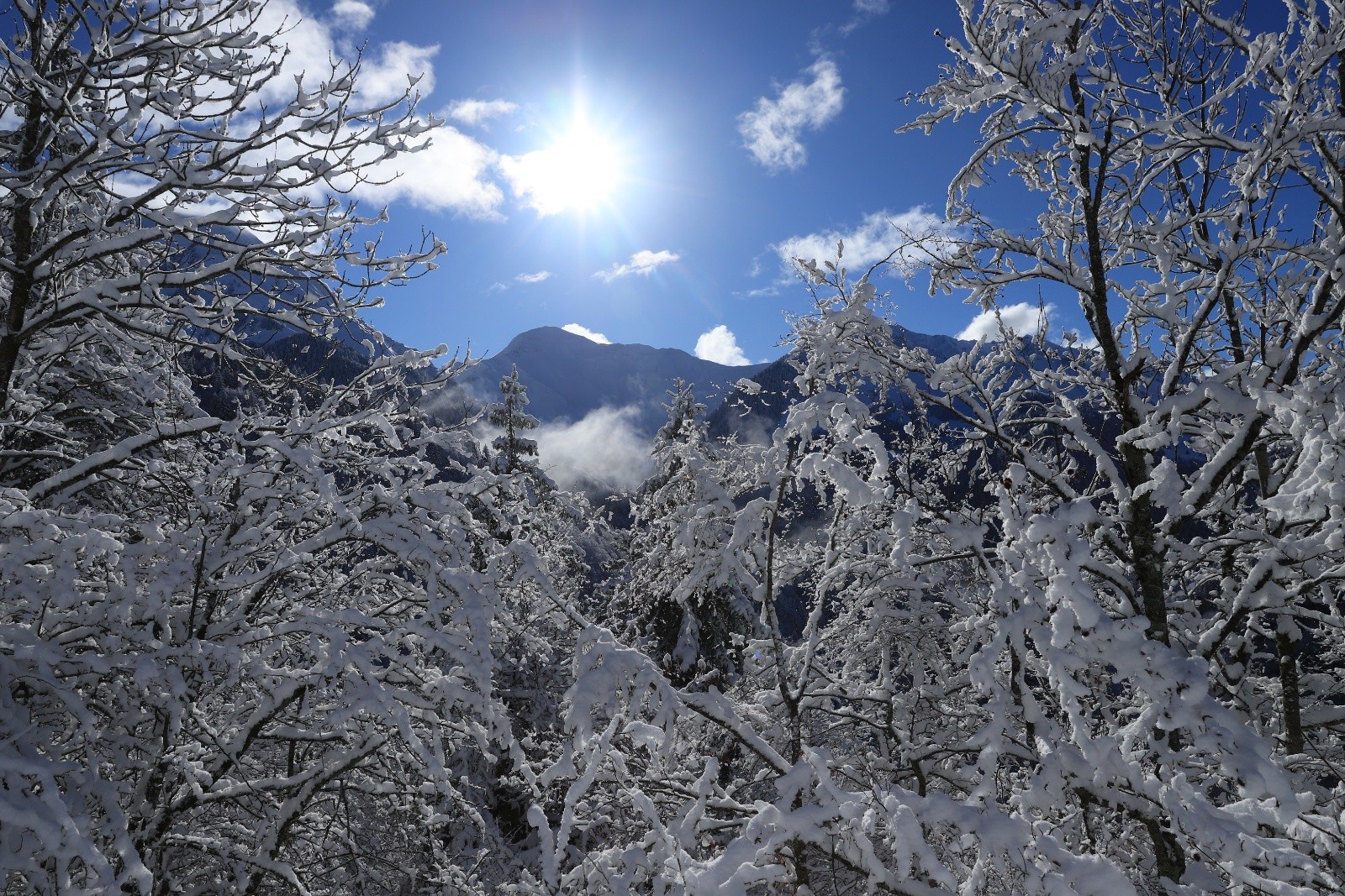 La Pointe des Arlicots (probablement)&nbsp;