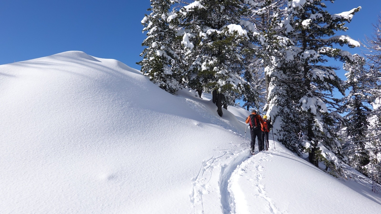 Au-dessus du Col de Salèse