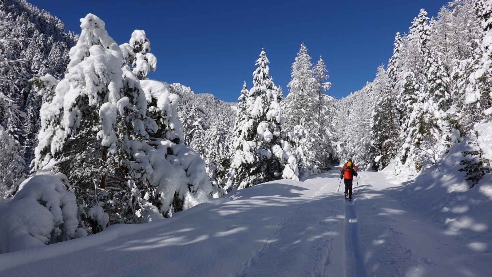 Un régal pour les yeux