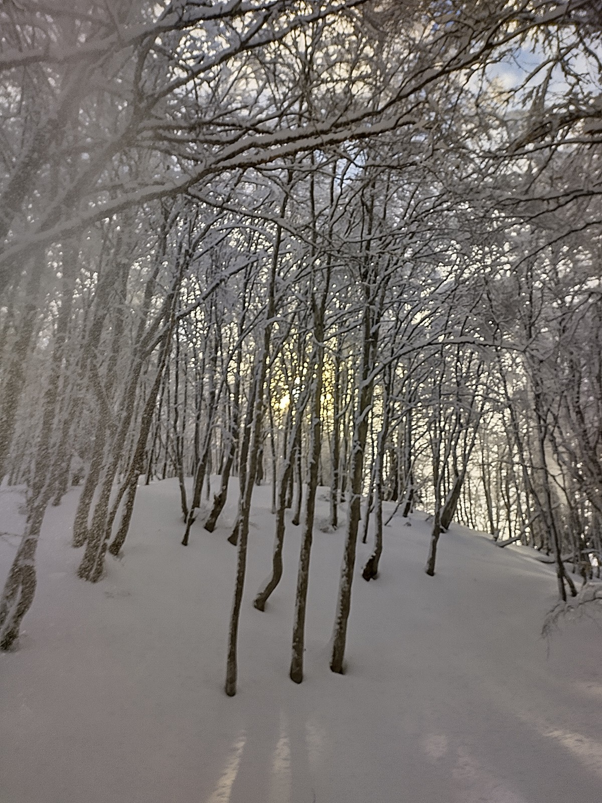 Au niveau du col de la verne