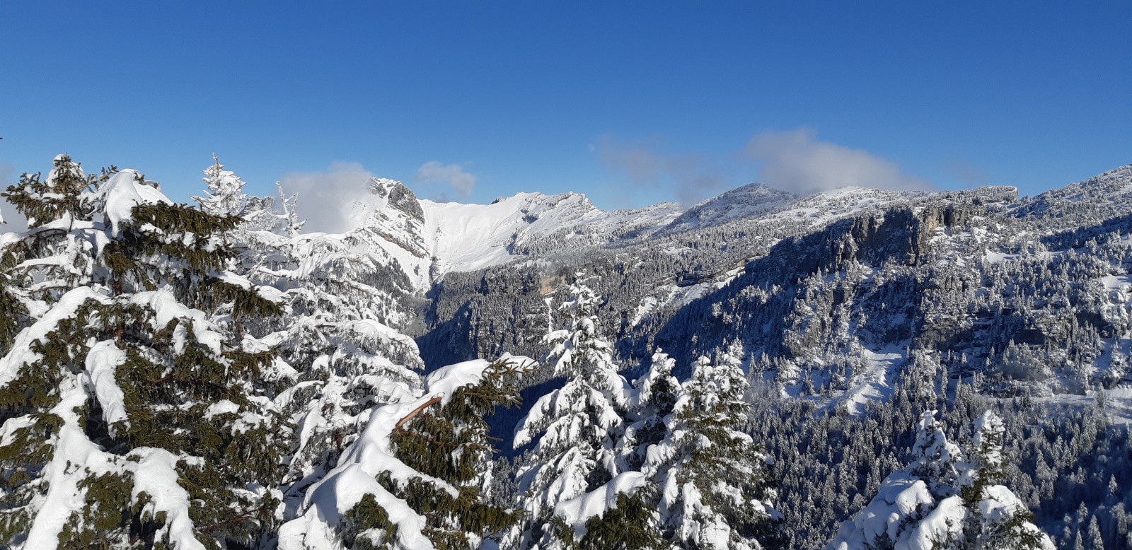 au fond col de Bellefond 