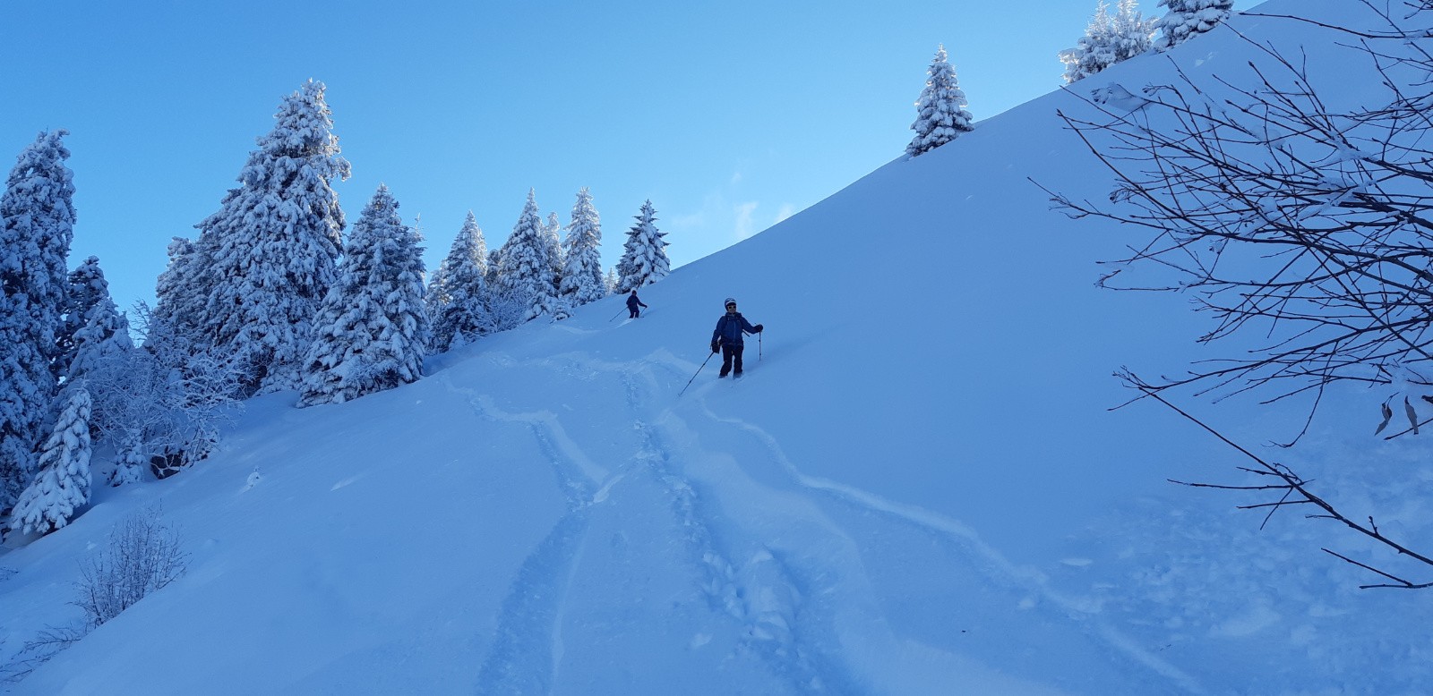 La prairie sous le roc&nbsp;d'Arguille 