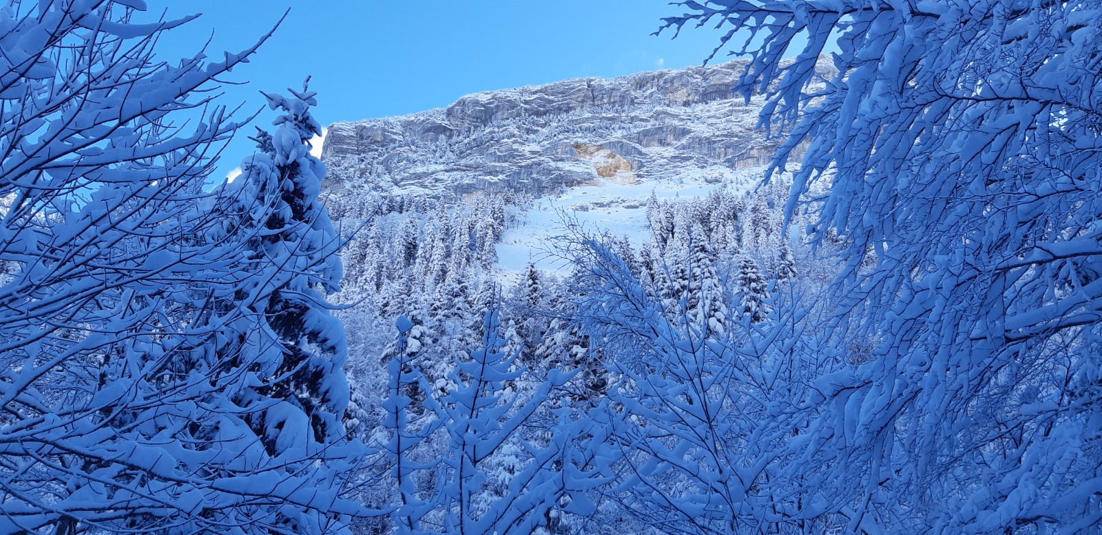 Éboulement&nbsp; de cet automne 