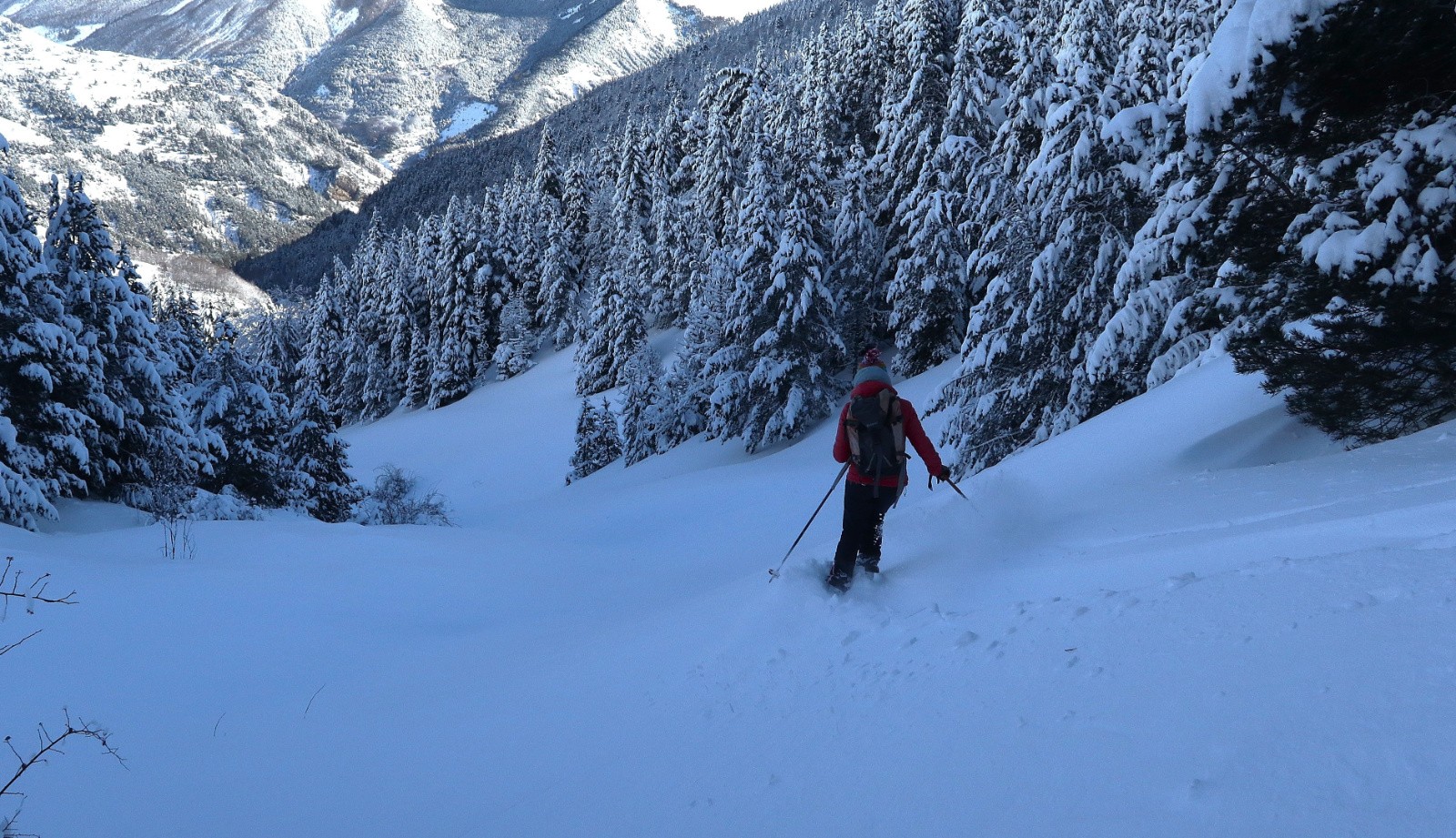 Combe du Clos des Anes&nbsp;