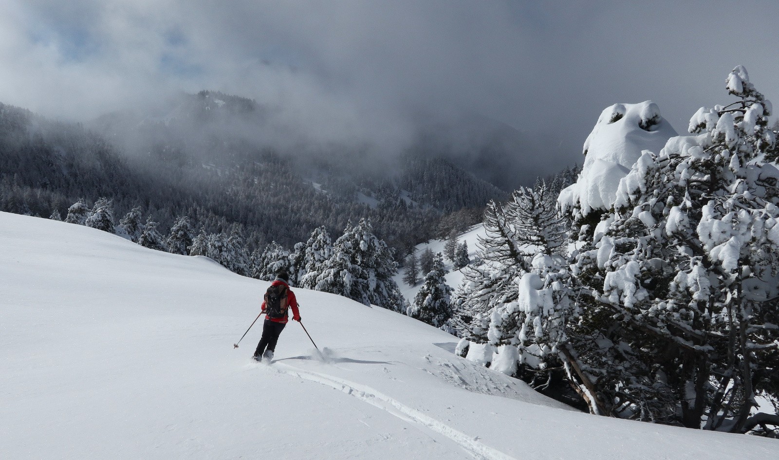 Vers le Vallon de l'Aup&nbsp;