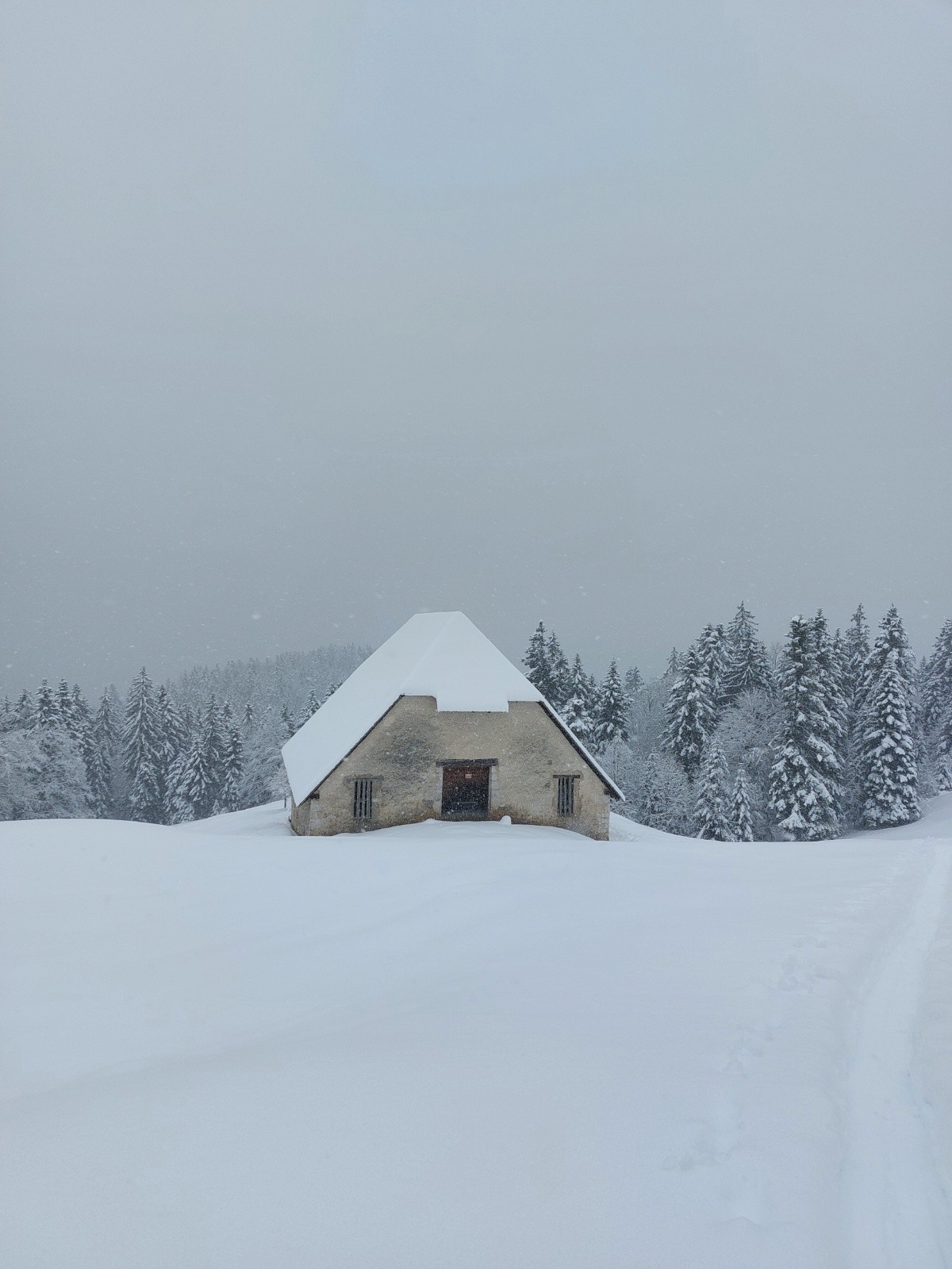 Habert de Billon&nbsp;