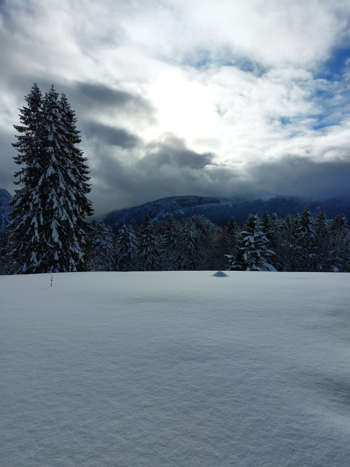 Habert de corde&nbsp;