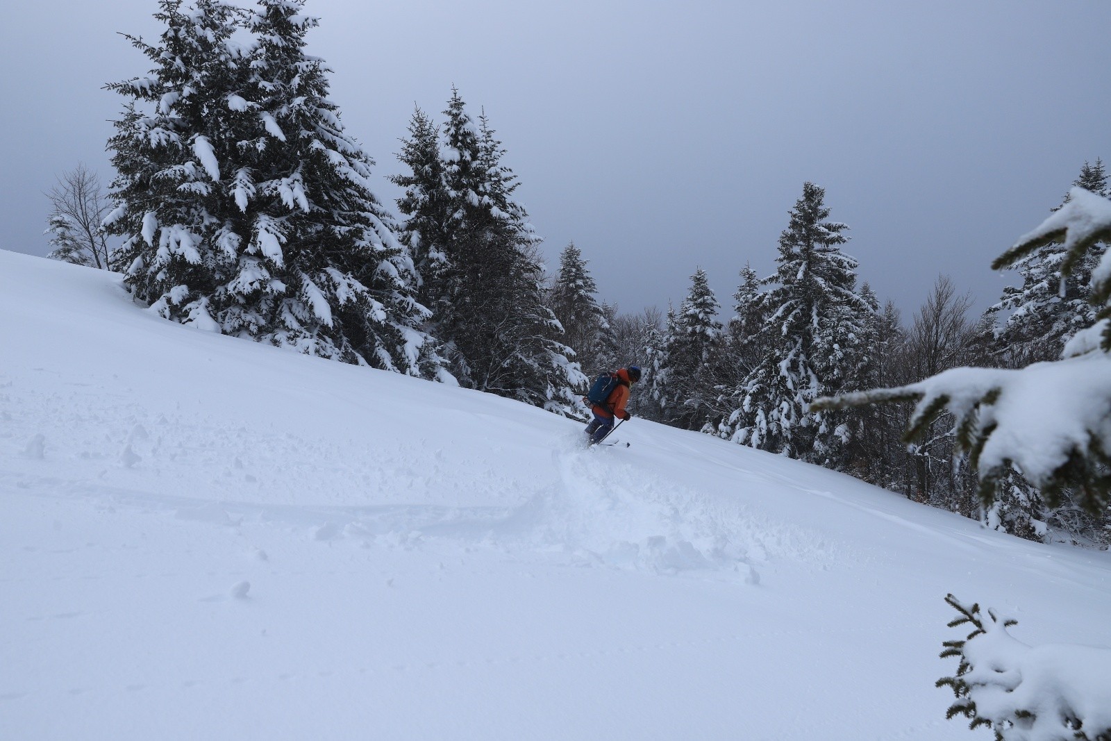 Prairies sous le canyon, c'est trop bon !