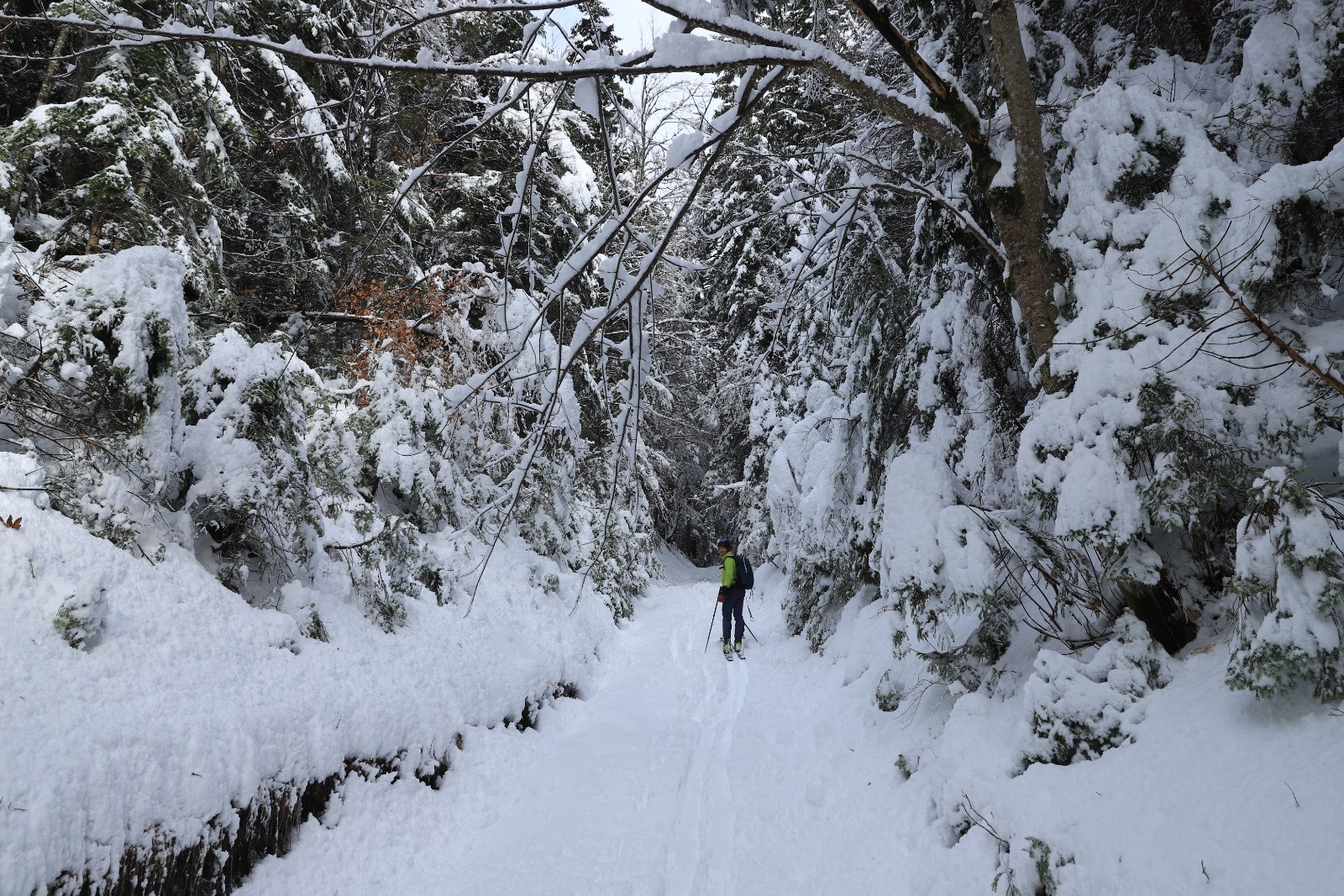 Ambiance féérique hivernale