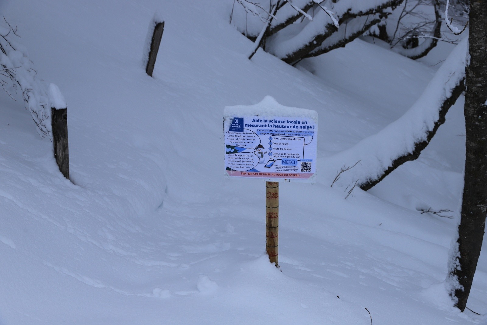 Balise MF près de la cabane de Bachasson