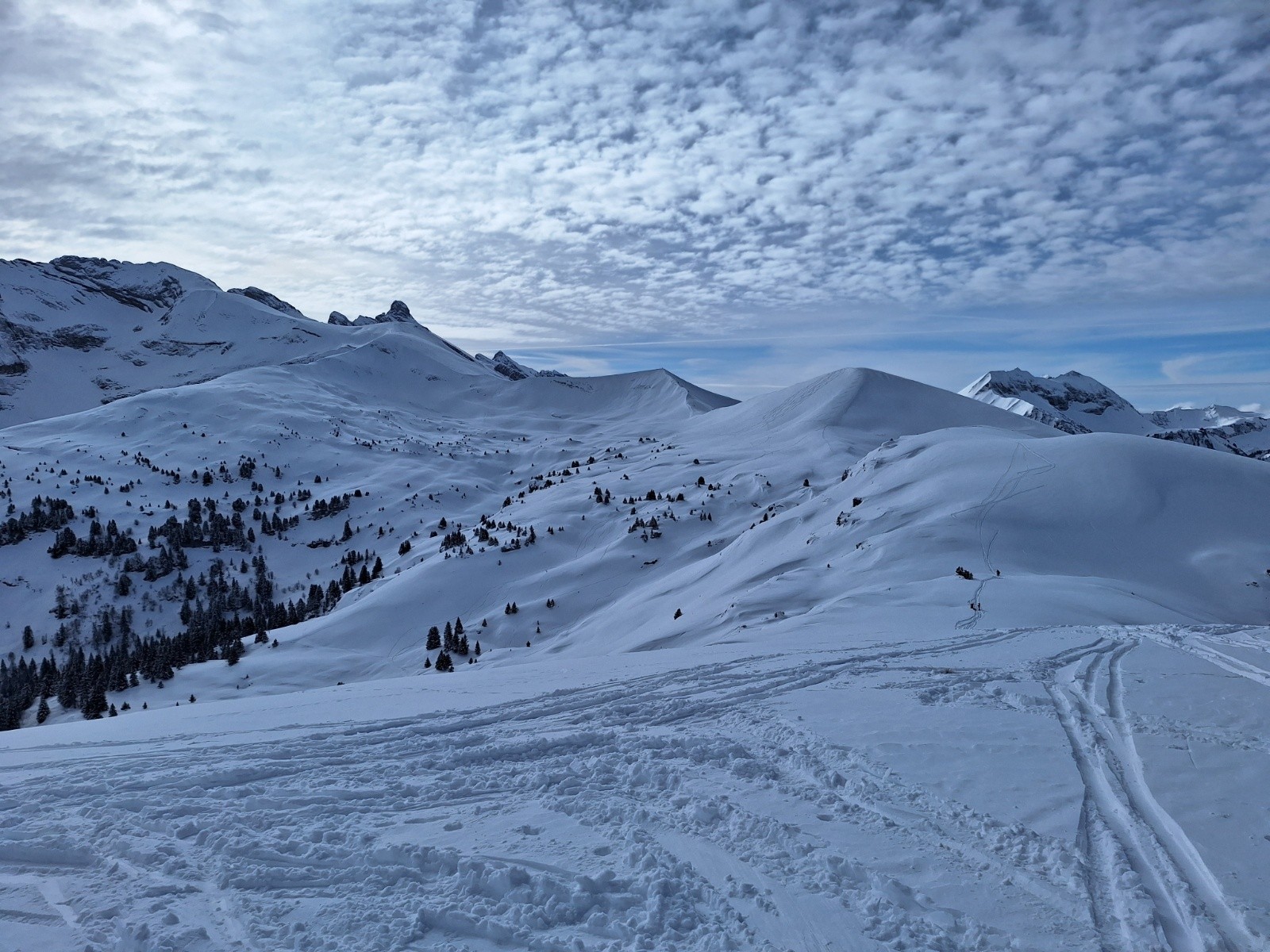 Ensemble du secteur depuis la Sallaz