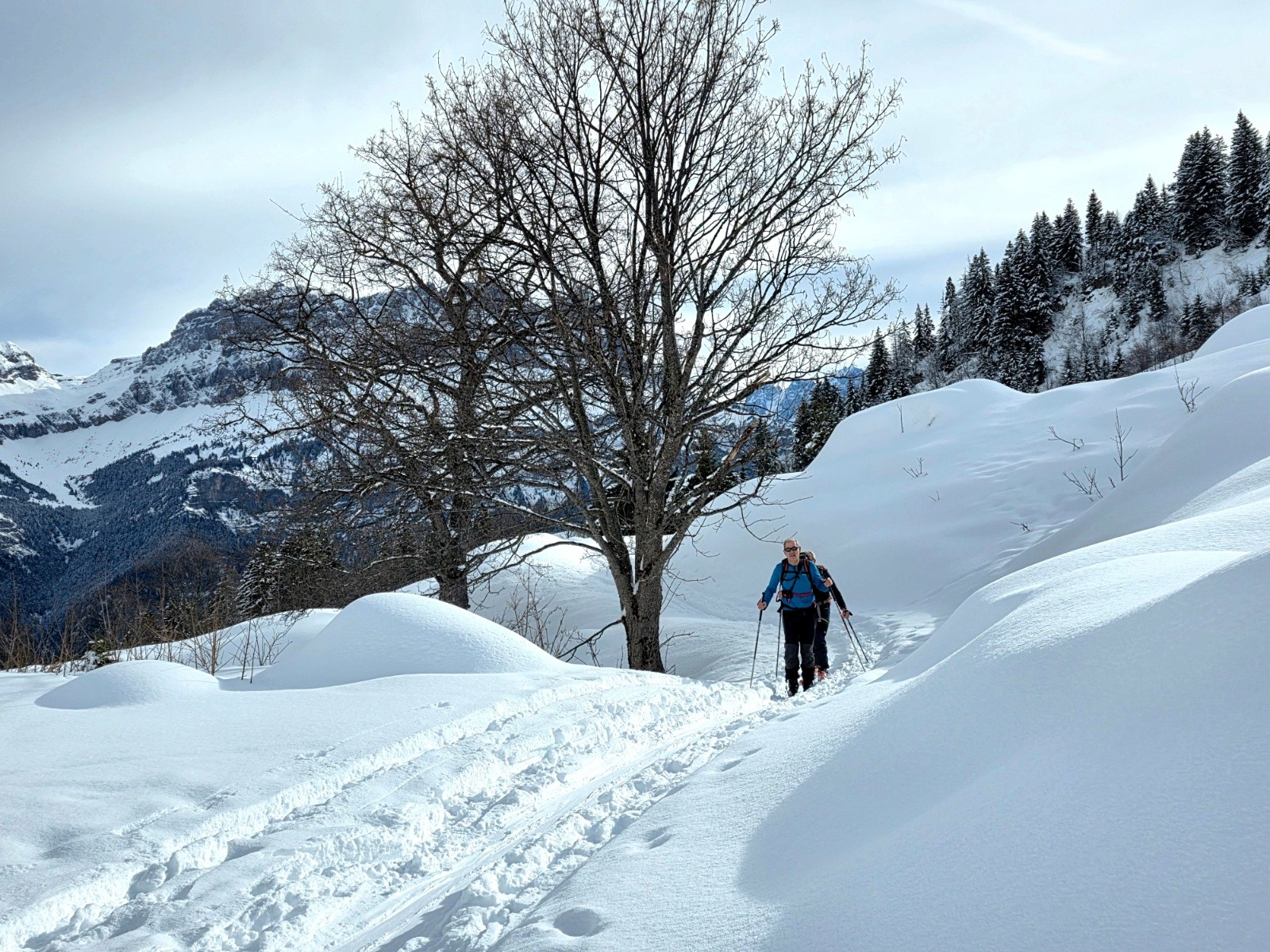 Sortie de la forêt. Entrée dans la combe. Au fond les aiguilles de Warzns