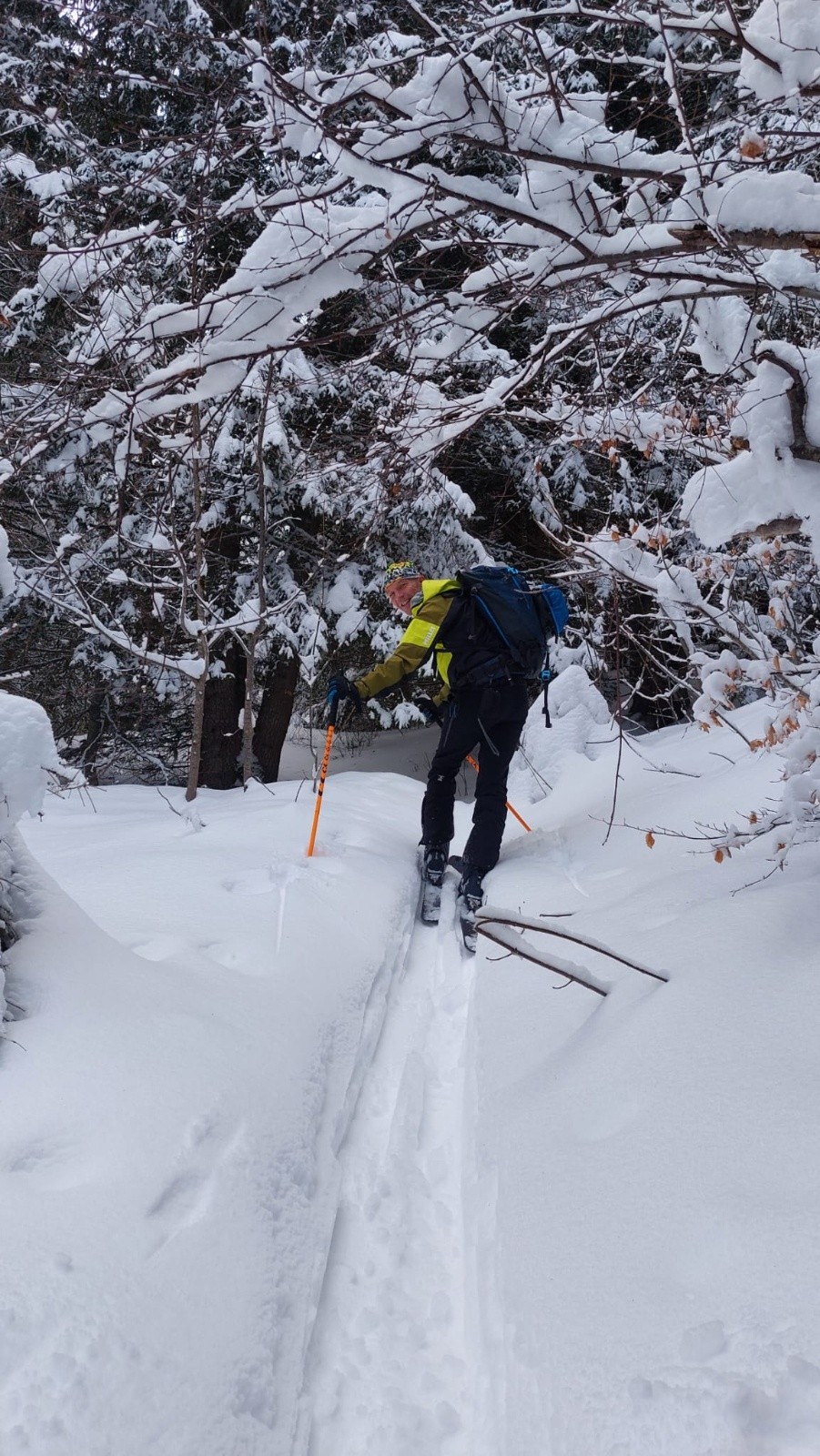Ma pomme dans le Char à bois!