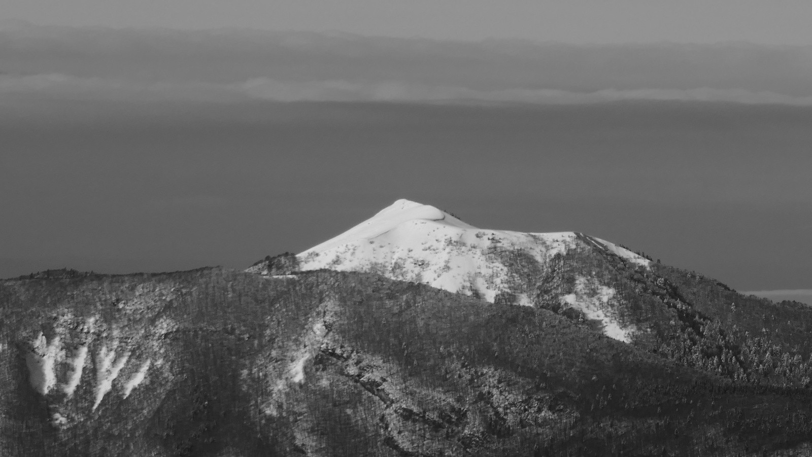 L'ami Chapp et sa Galop'