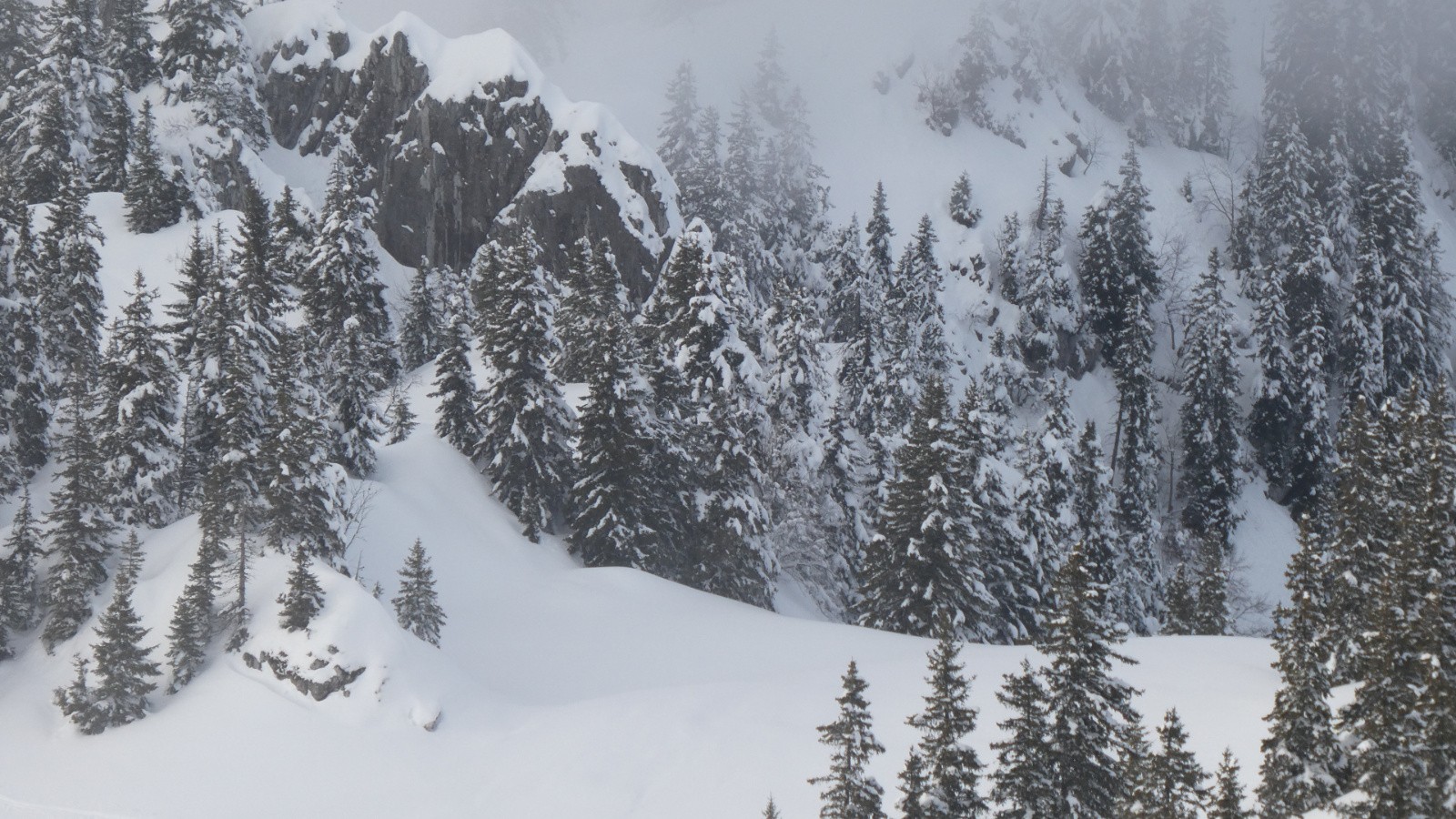 &nbsp;Chartreuse nébuleuse