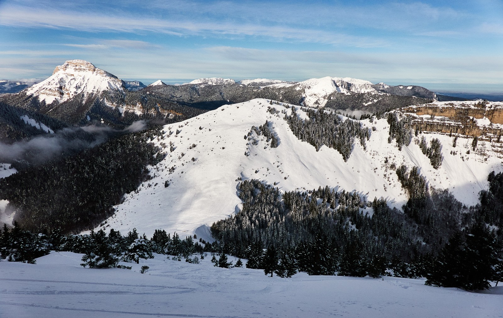 Depuis la prairie bien croûtée...