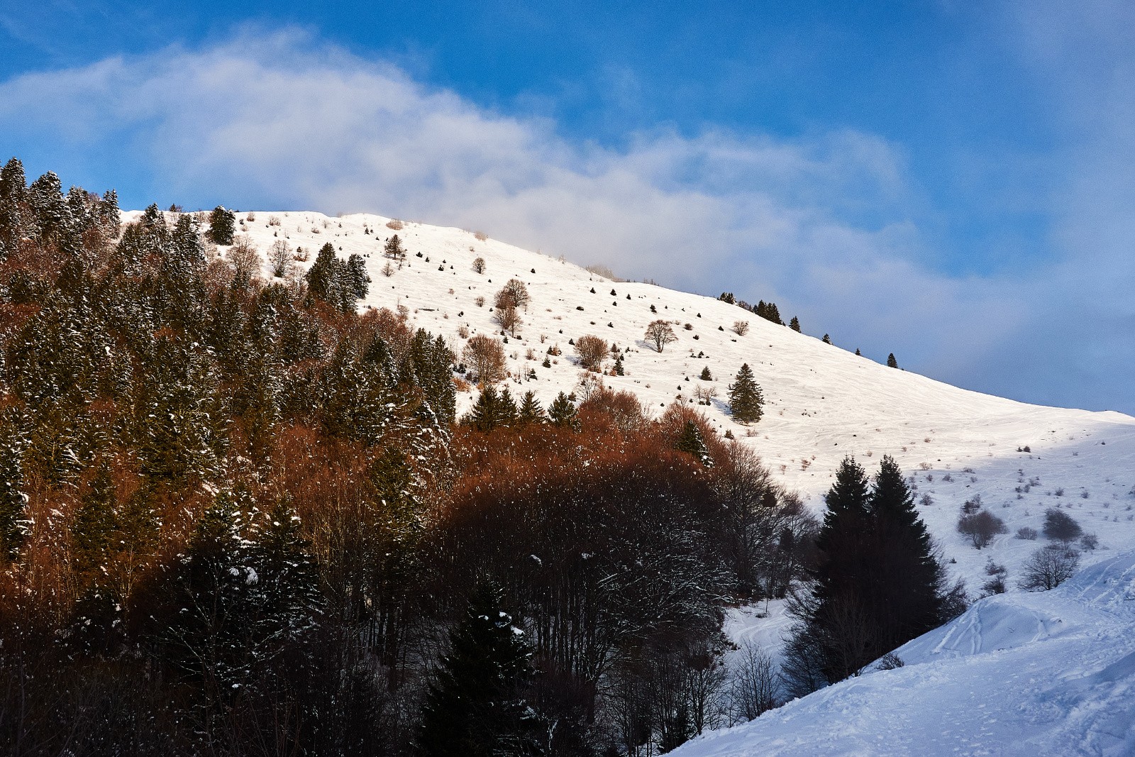 Pravouta bien rayé...