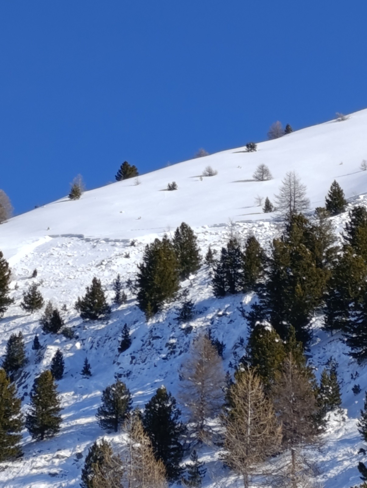 Plaque sous le Brunet&nbsp;