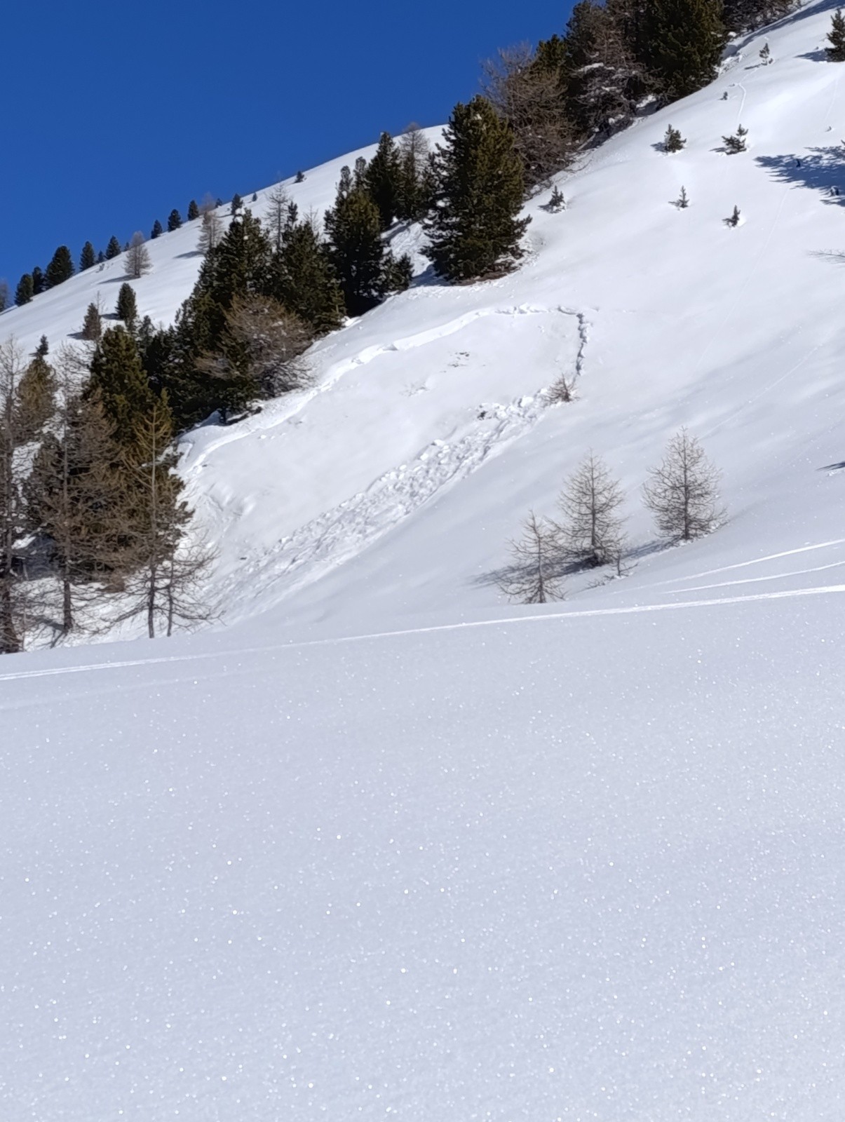 Autre plaque sous le Brunet