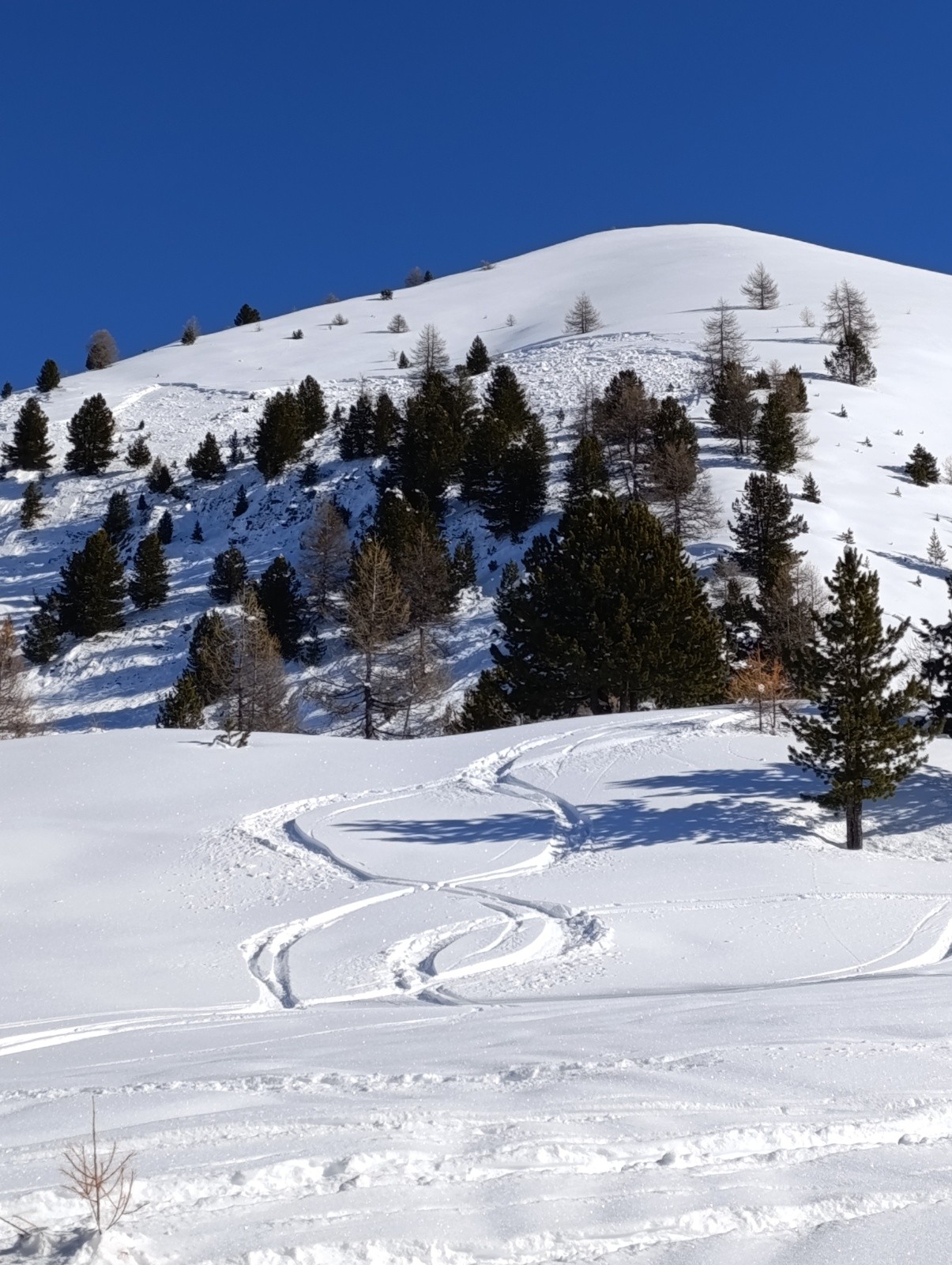 Plaque sous le Brunet&nbsp;