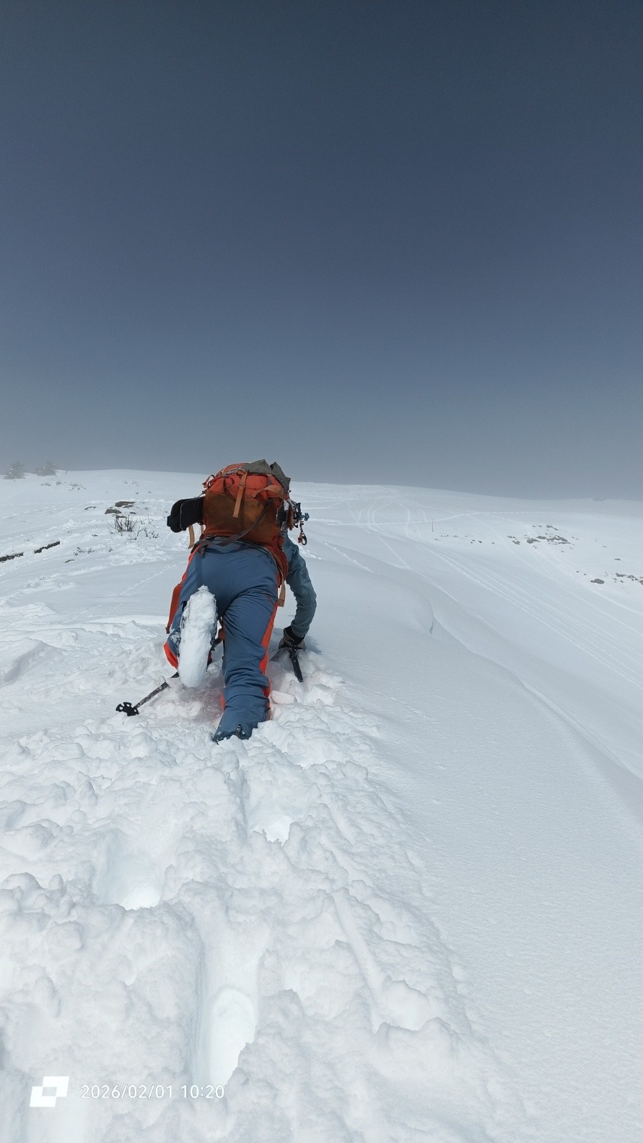 #15 Glad Glad' en plein travail