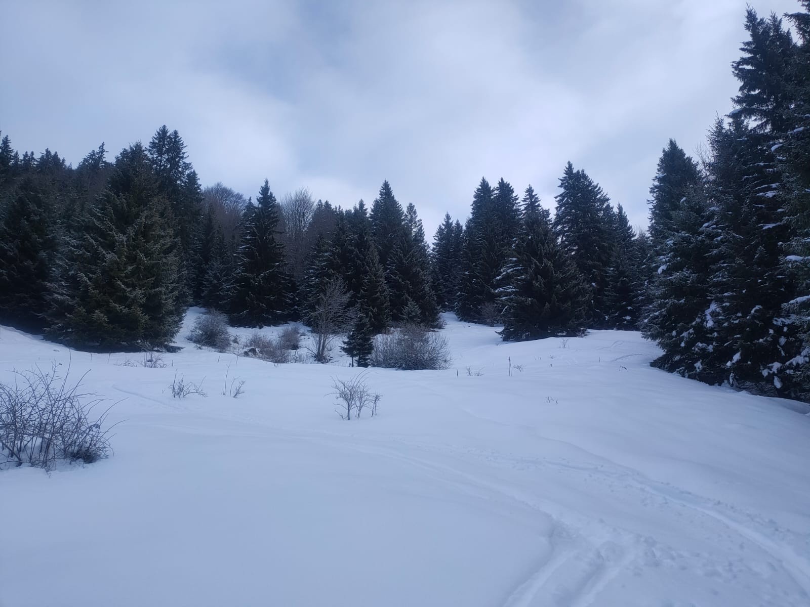 Passage dans les bois pour couper la piste