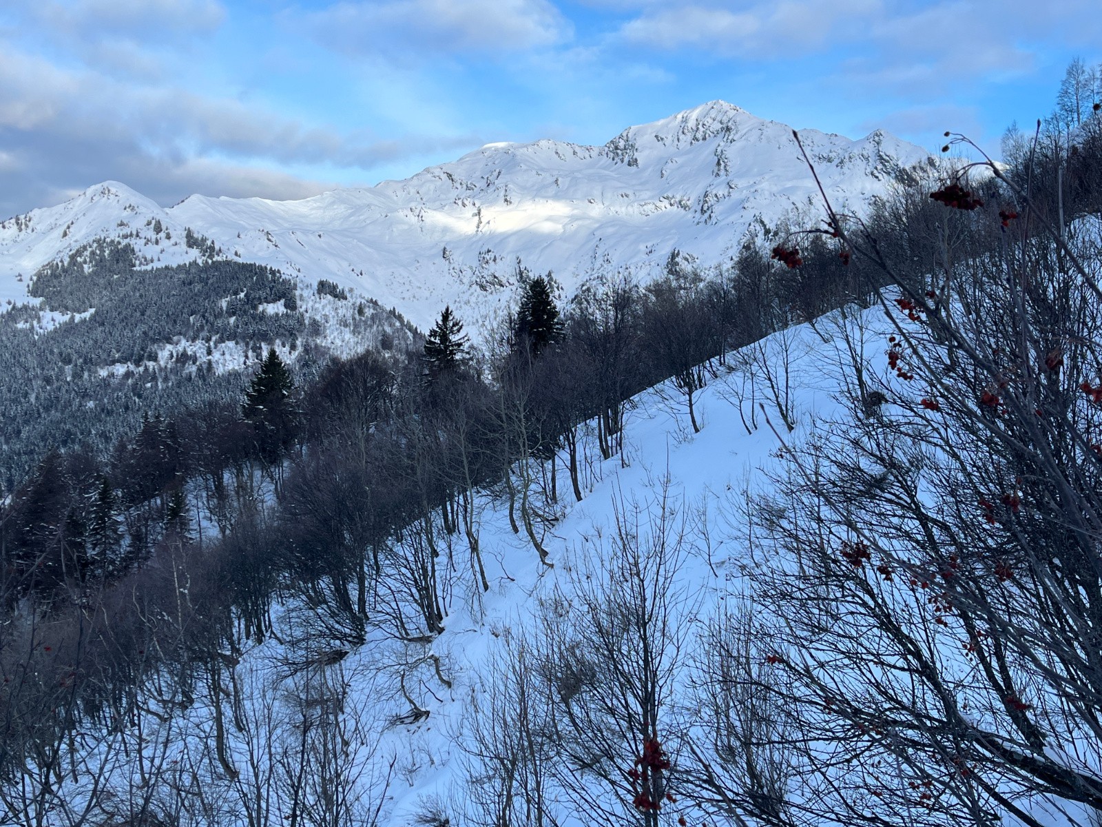 la montée par la forêt