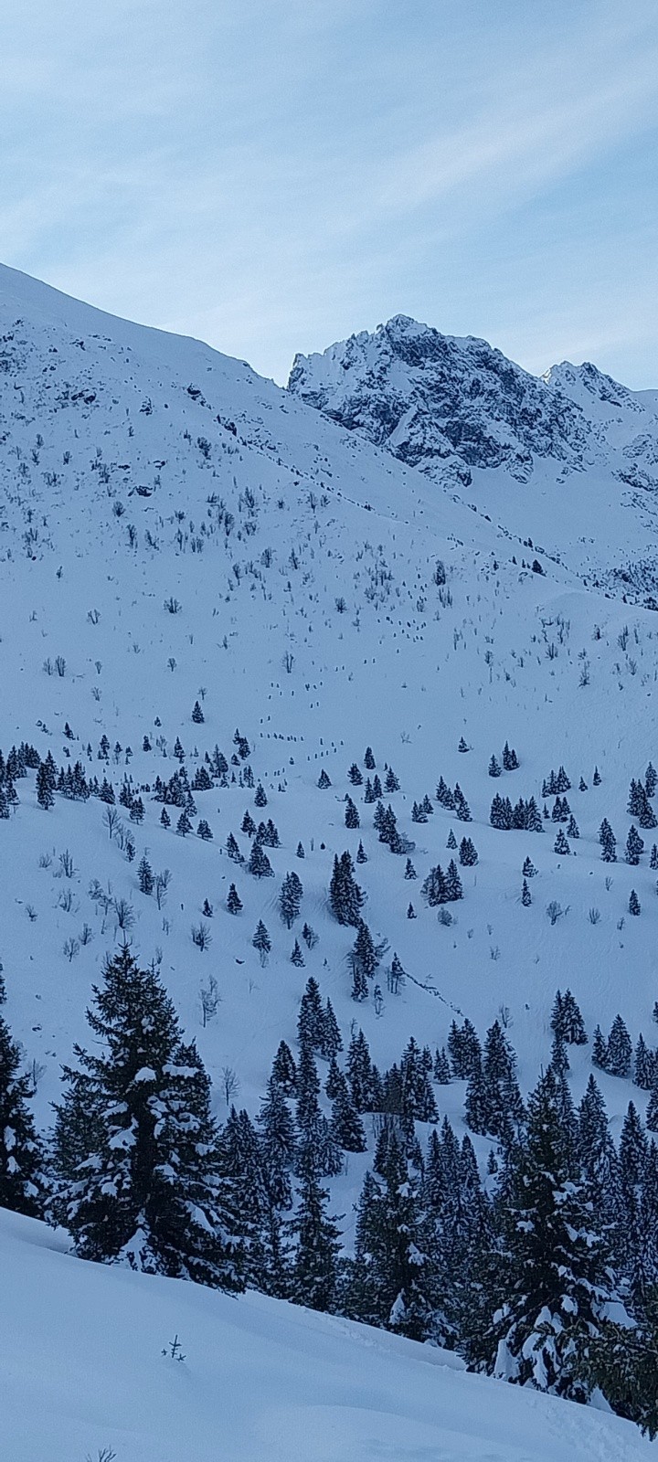 &nbsp;Ce sont bien des humains