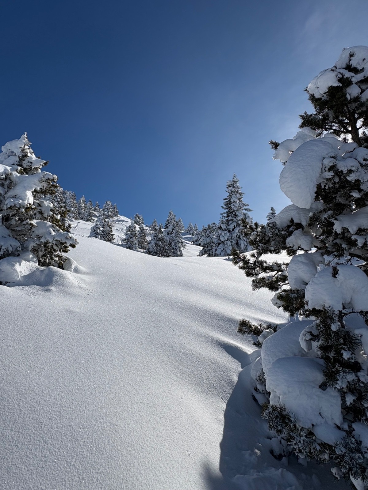 #3 Je pense à ce moment là que ça va être bon Je pense à ce moment là que ça va être bon
