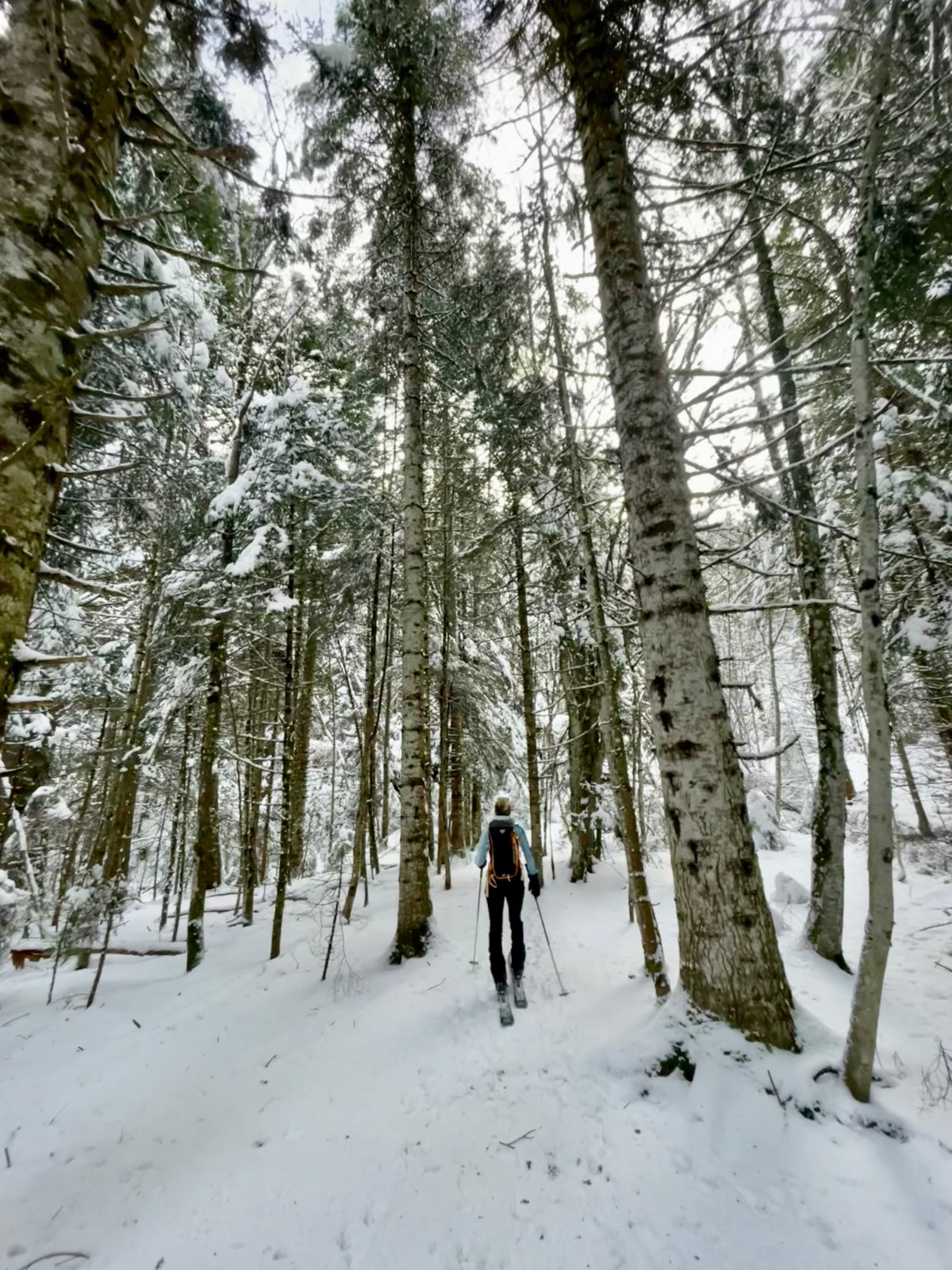 &nbsp;pas tous les jours qu'on part à ski de Montisel !