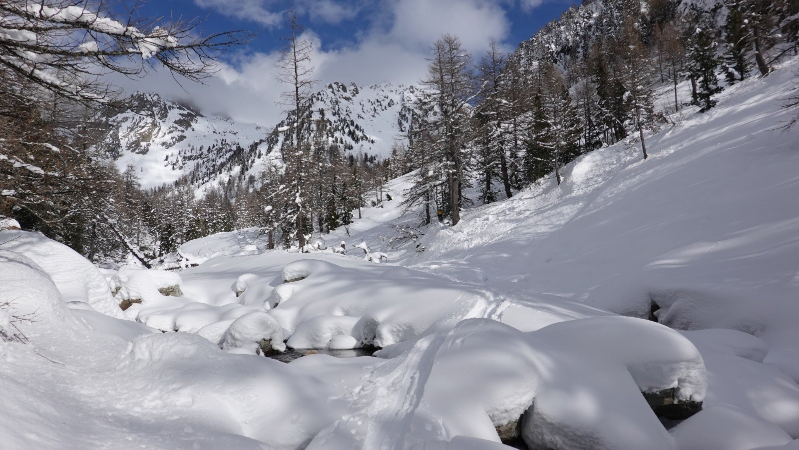Bonne poudreuse en forêt mais c'est court