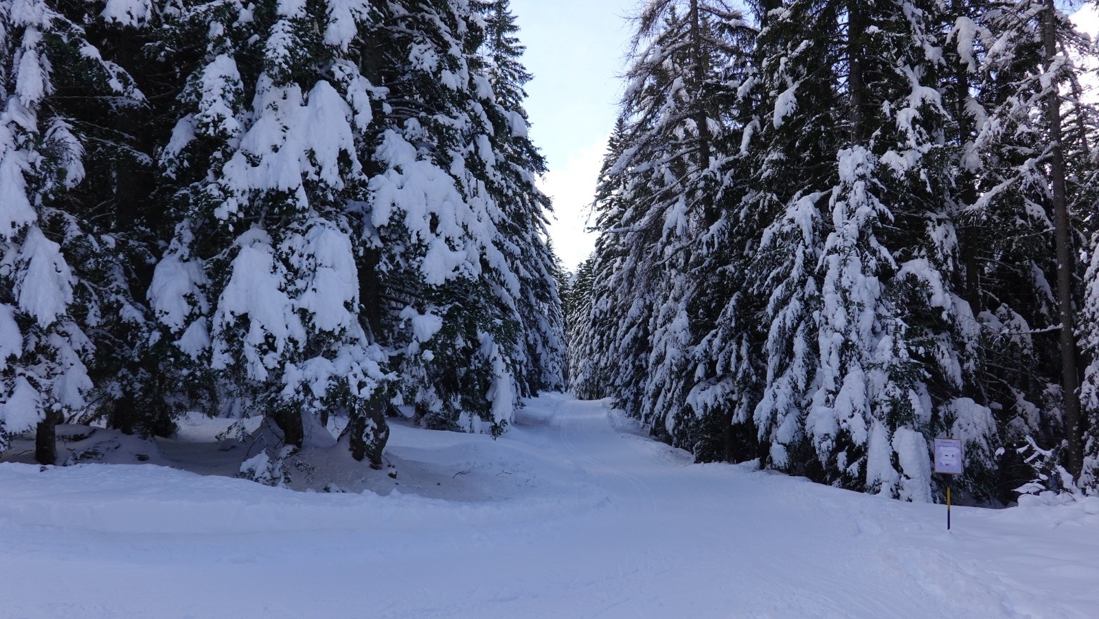 Retour sur les pistes de ski de fond