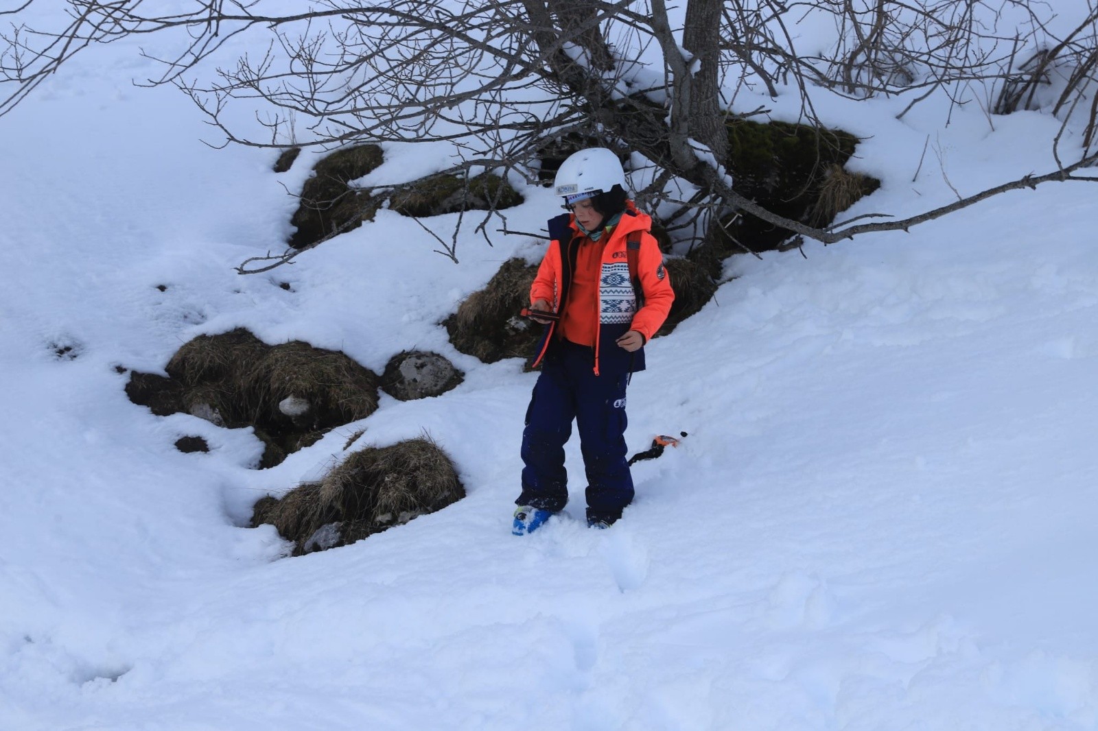 &nbsp;Exercice de recherche DVA en attendant Léo et Félix
