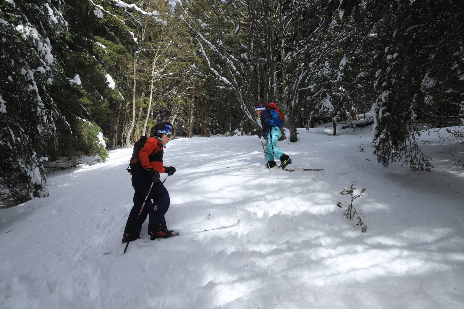 Un sens de l'itinéraire hors du commun ce Lucas&nbsp; 😁