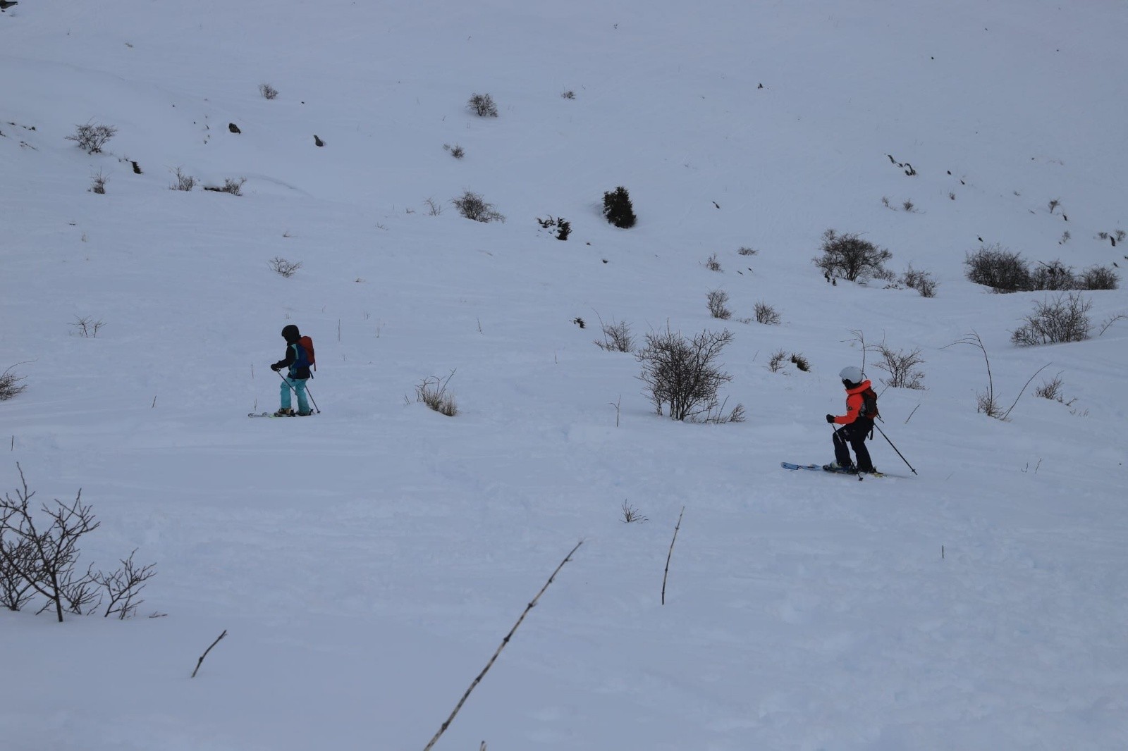 &nbsp;Presque en bas