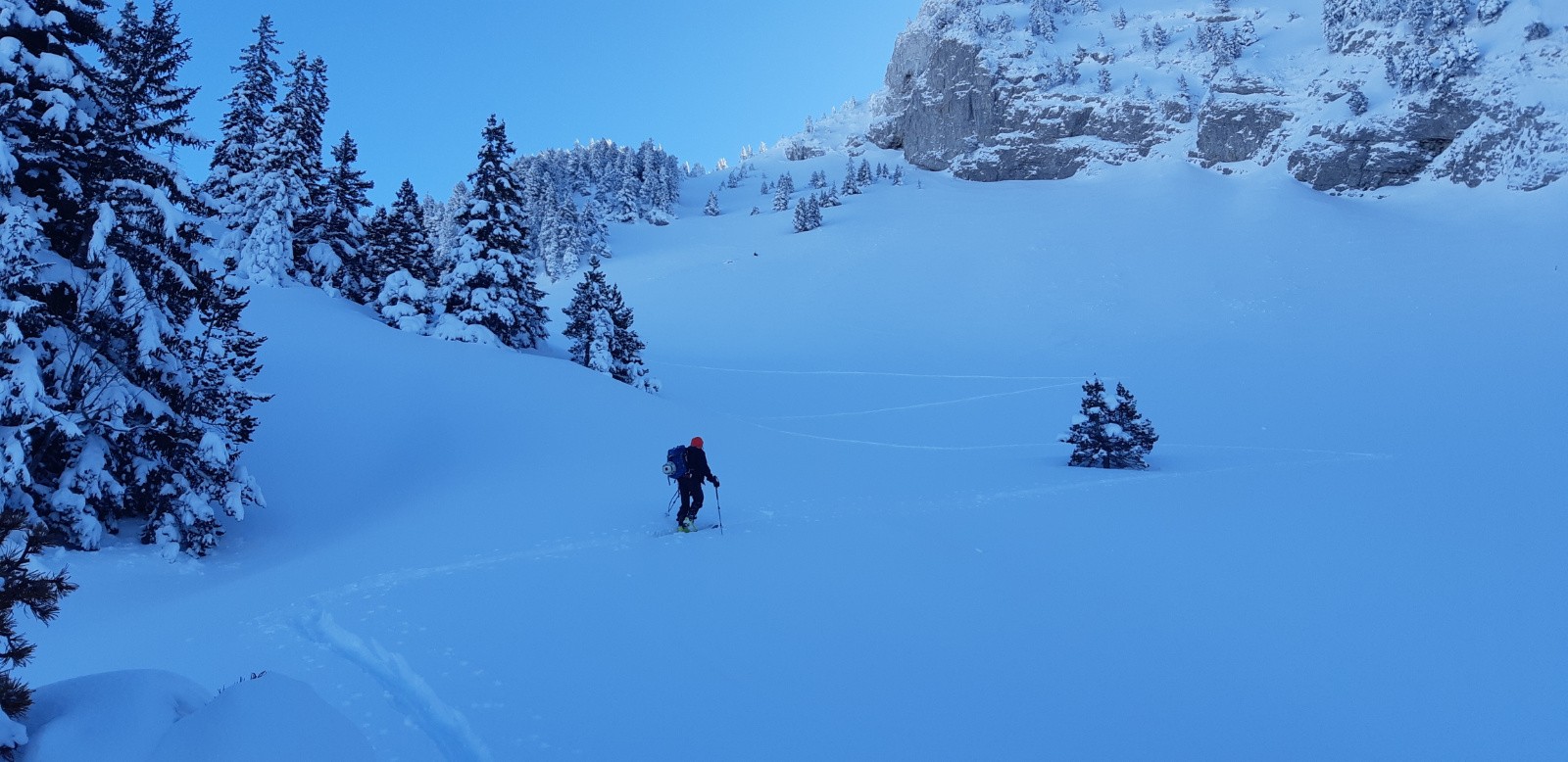 #3 On sort de la forêt On sort de la forêt