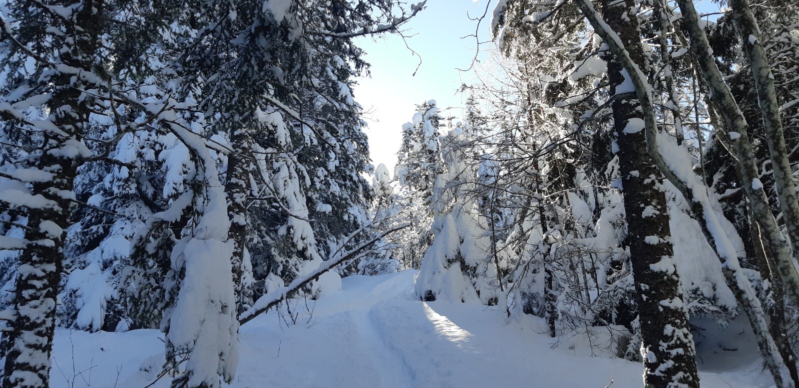 #1 Dans la ,combe de fer Dans la ,combe de fer